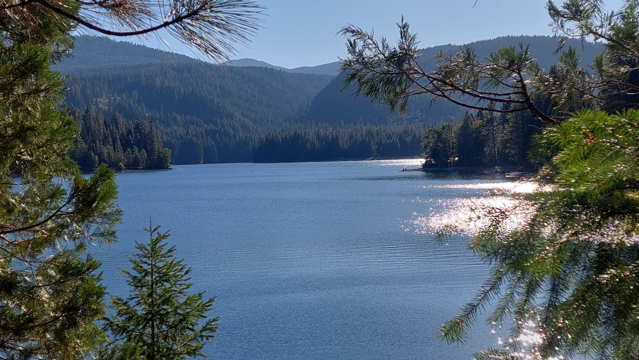 Sparkling lake surrounded by forested hills, framed by pine branches on a sunny day. - Lake Siskiyou Loop Trail loop from Lake Siskiyou