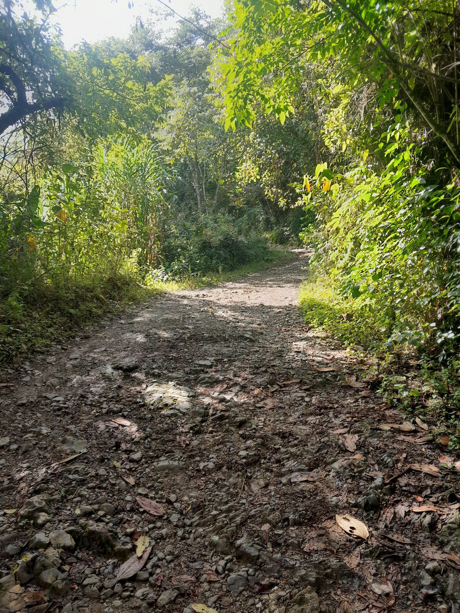On the track