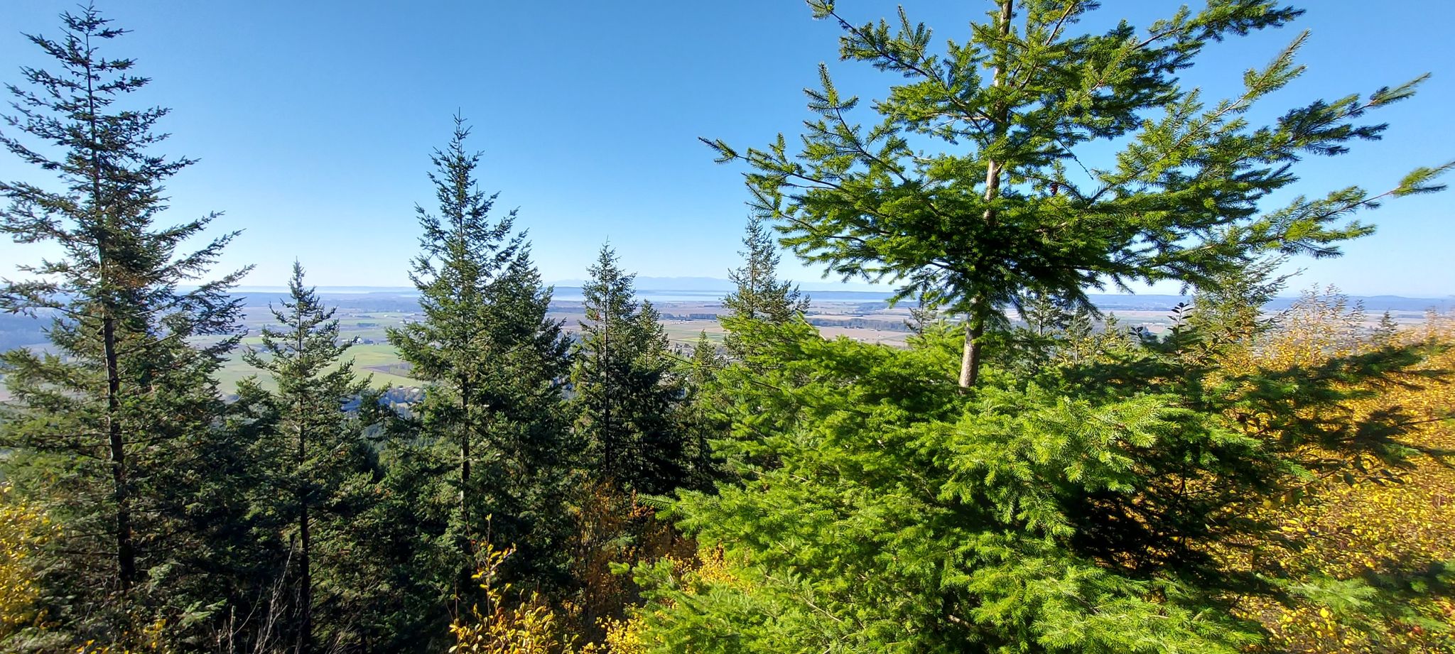 Sunny view from a forested hillside overlooking a distant valley. - South Little Mountain Lollipop