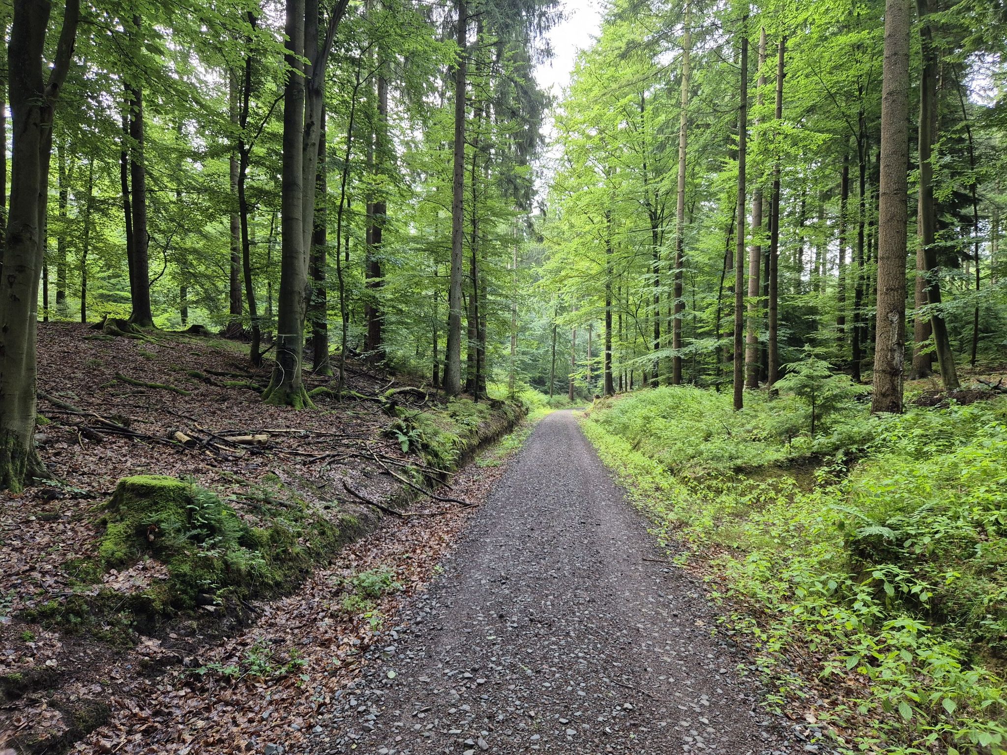 Eine rustikale Schotterpiste im Kleckerwald!