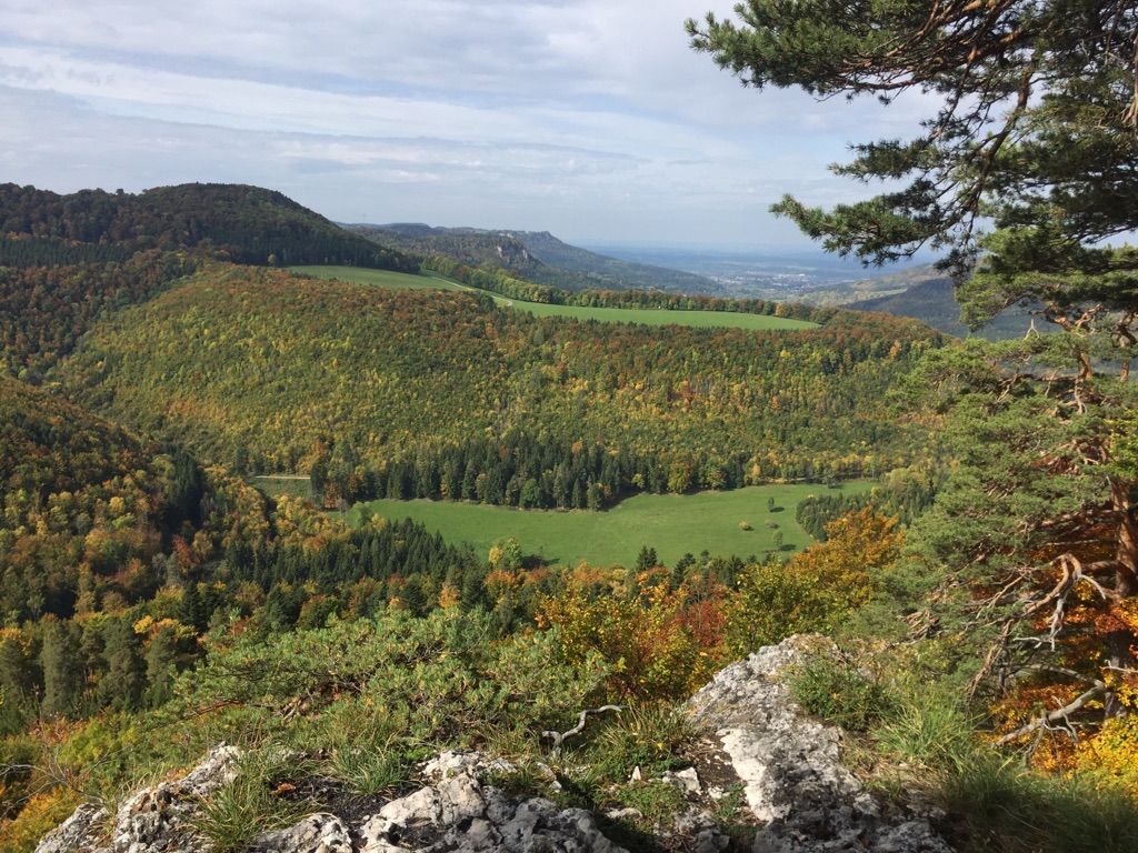 Aussicht vom Vesperbänkle 👌🏼