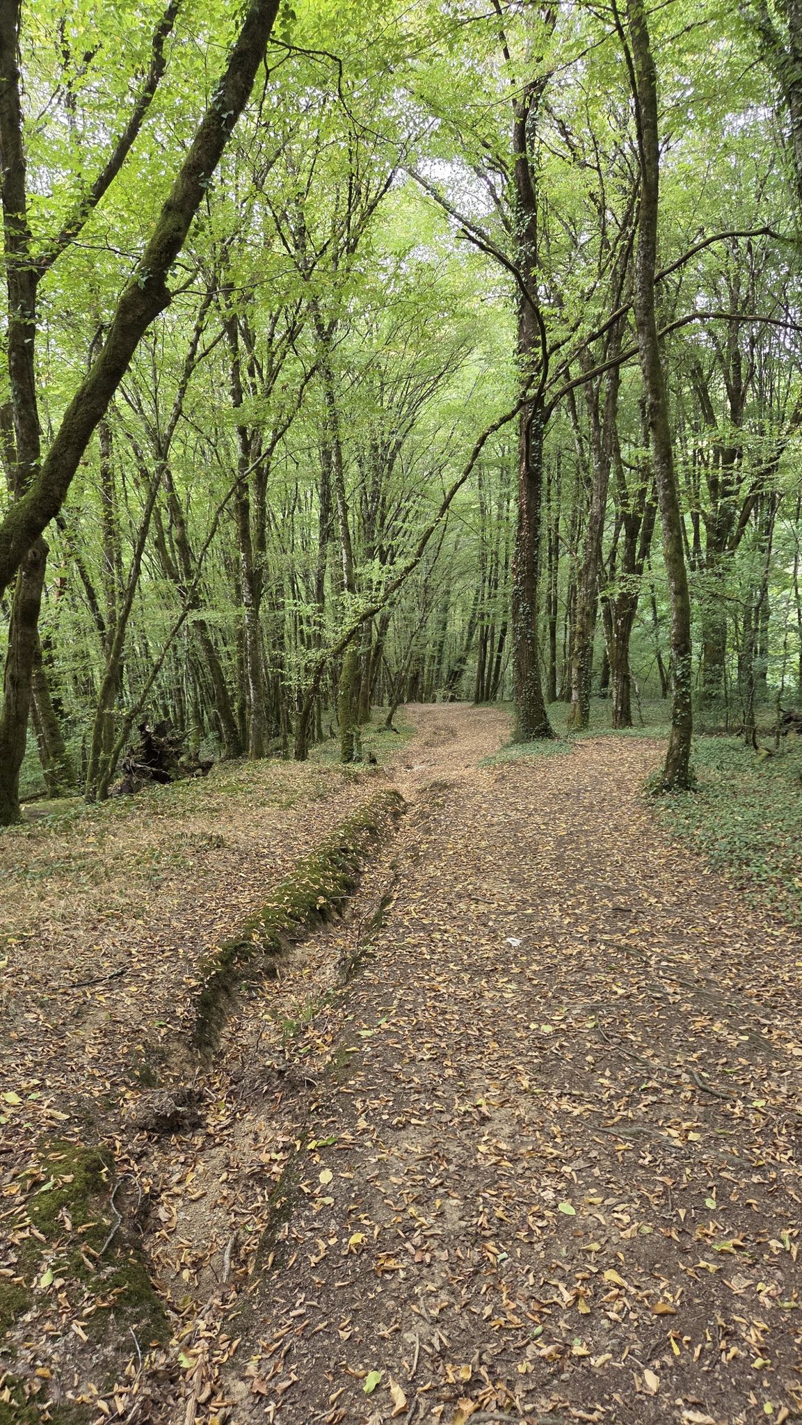 superbe sentier pour descendre vers la rivière