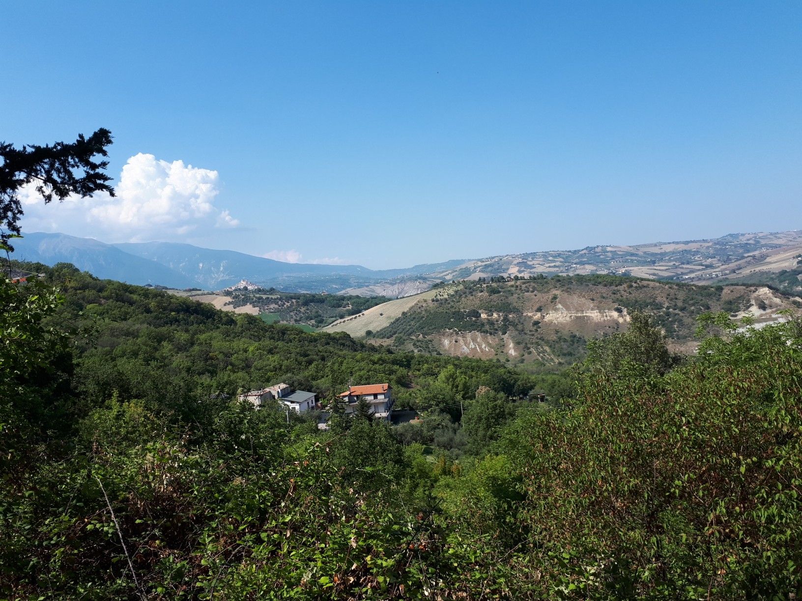 Blick naxh Casoli