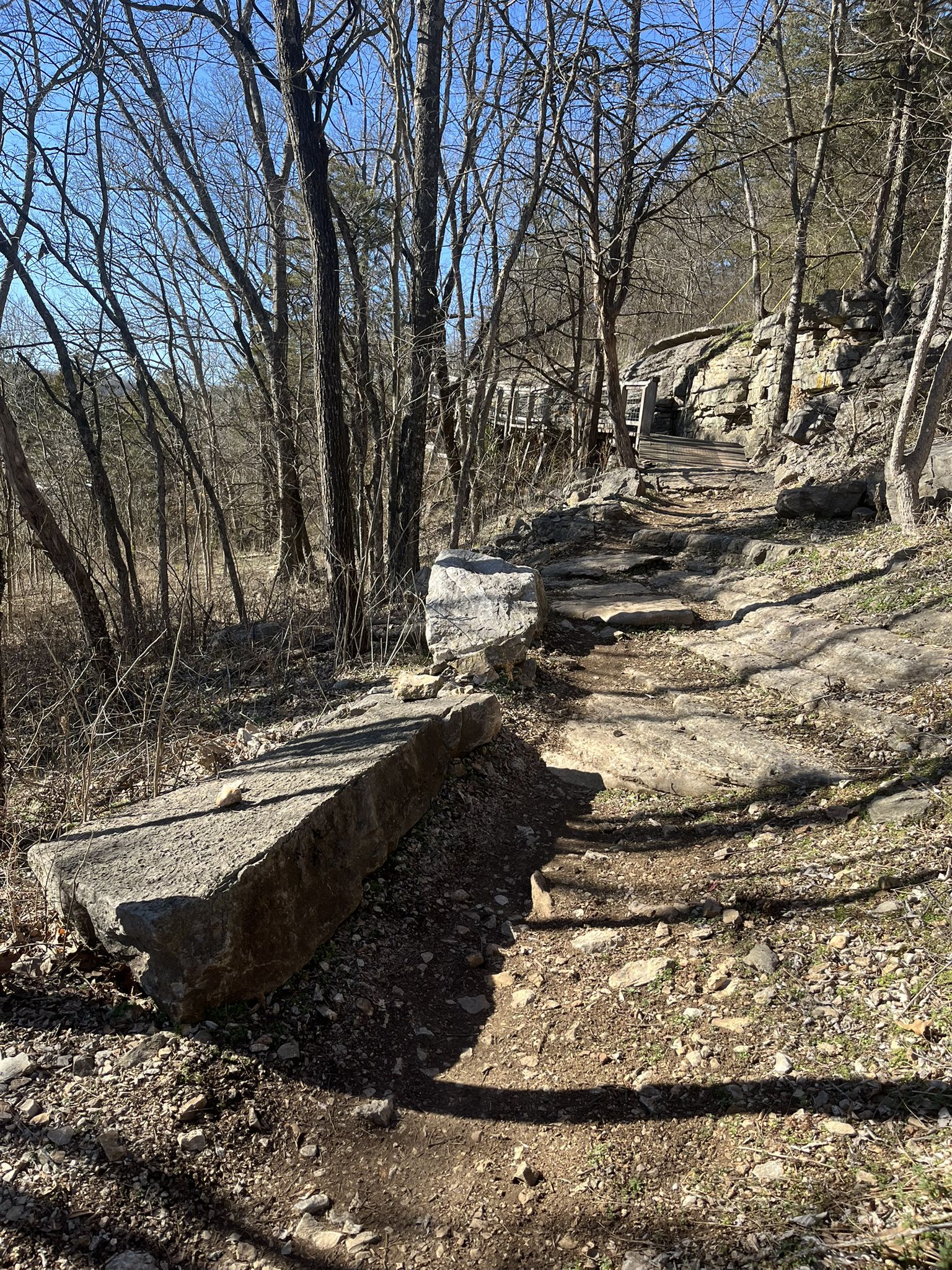 A rocky dirt path with large stone steps ascending a sunny, wooded hill. - Slaughter Pen Trails – The Gear Garden Beer Garden loop from Bentonville