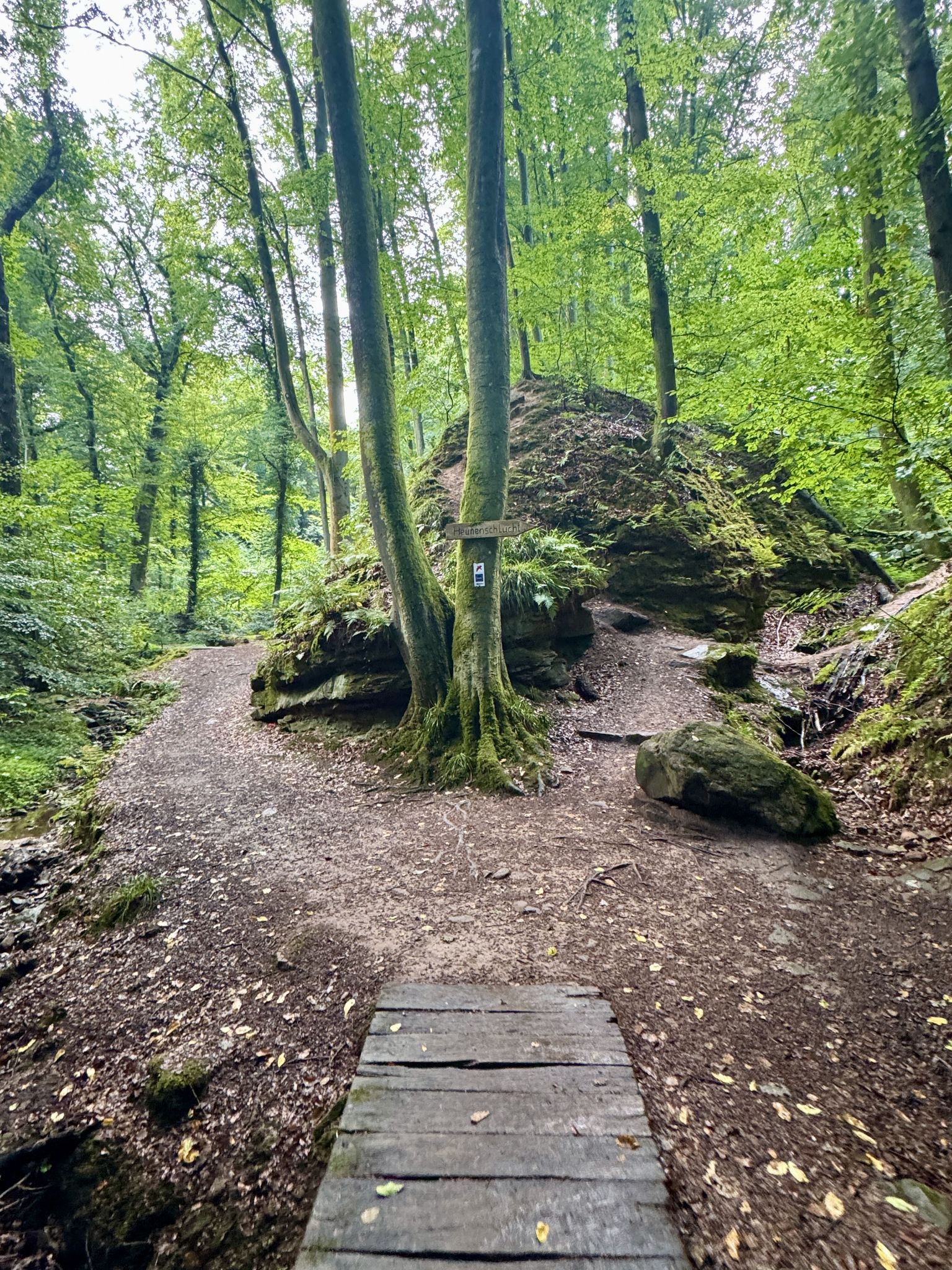 Abzweig Seltenbachschlucht - Heunenschlucht