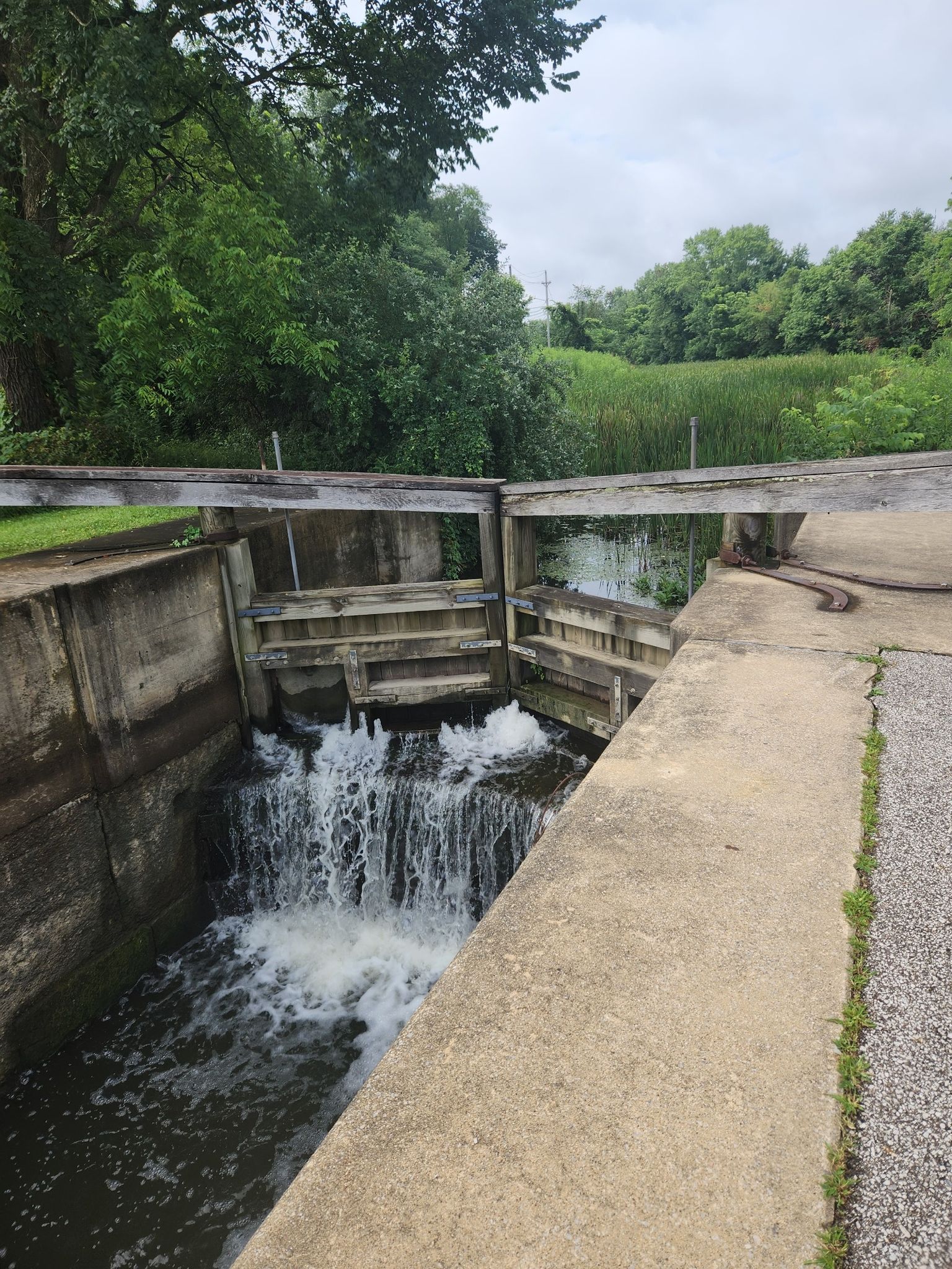 Water cascading through a concrete canal lock with green foliage. - Lock 39, Ohio & Erie Canal – Lock 37, Ohio & Erie Canal loop from Rockside