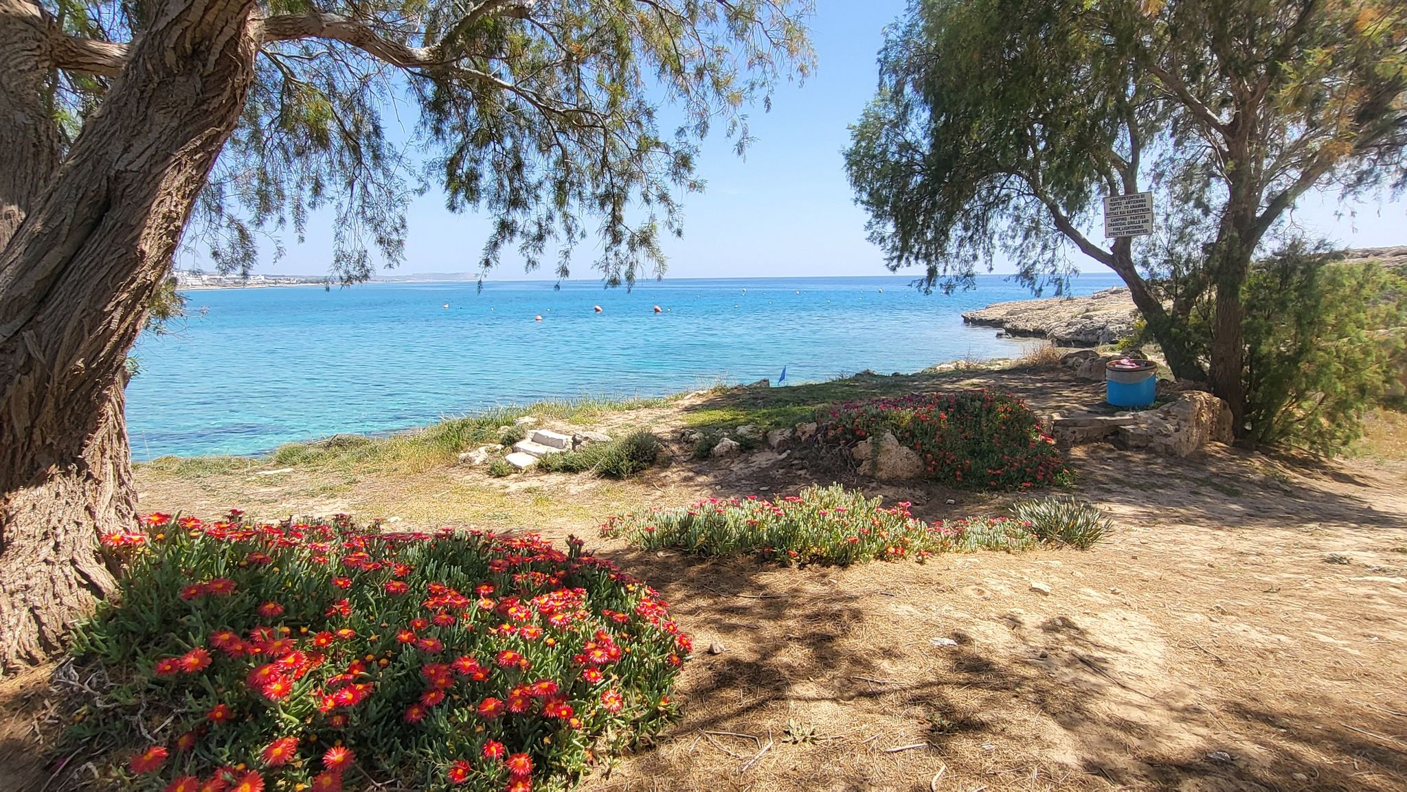 Ayia Napa Harbour Loop