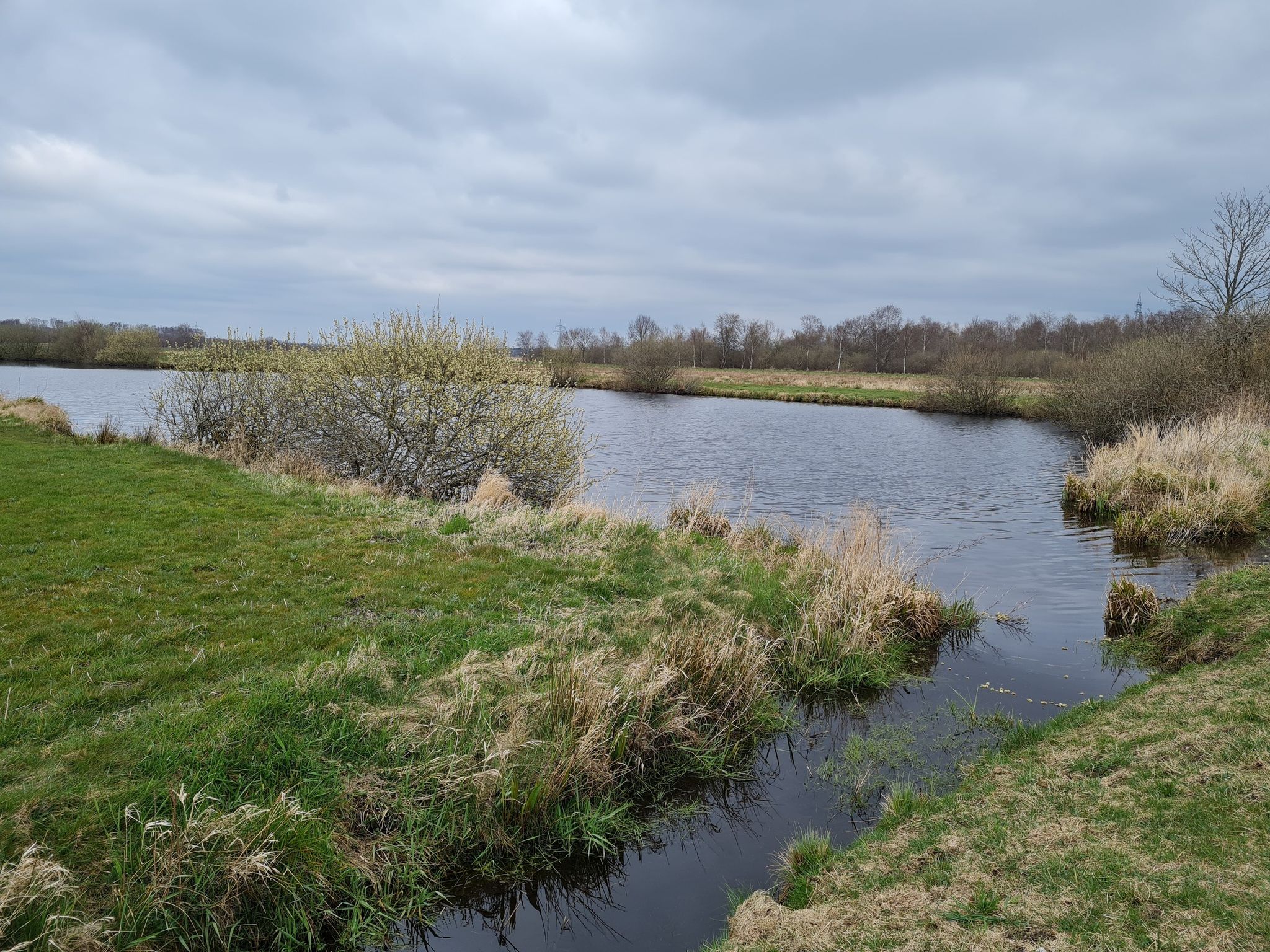 Süderholmer Moor