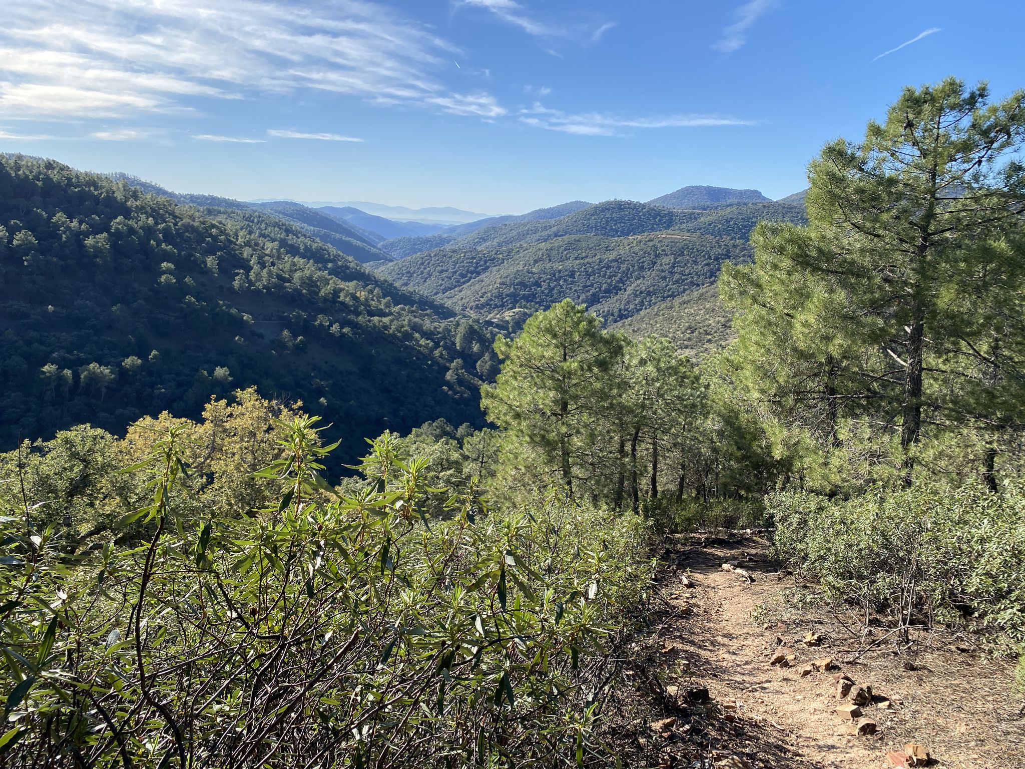 Vistas del valle del arroyo del Batán