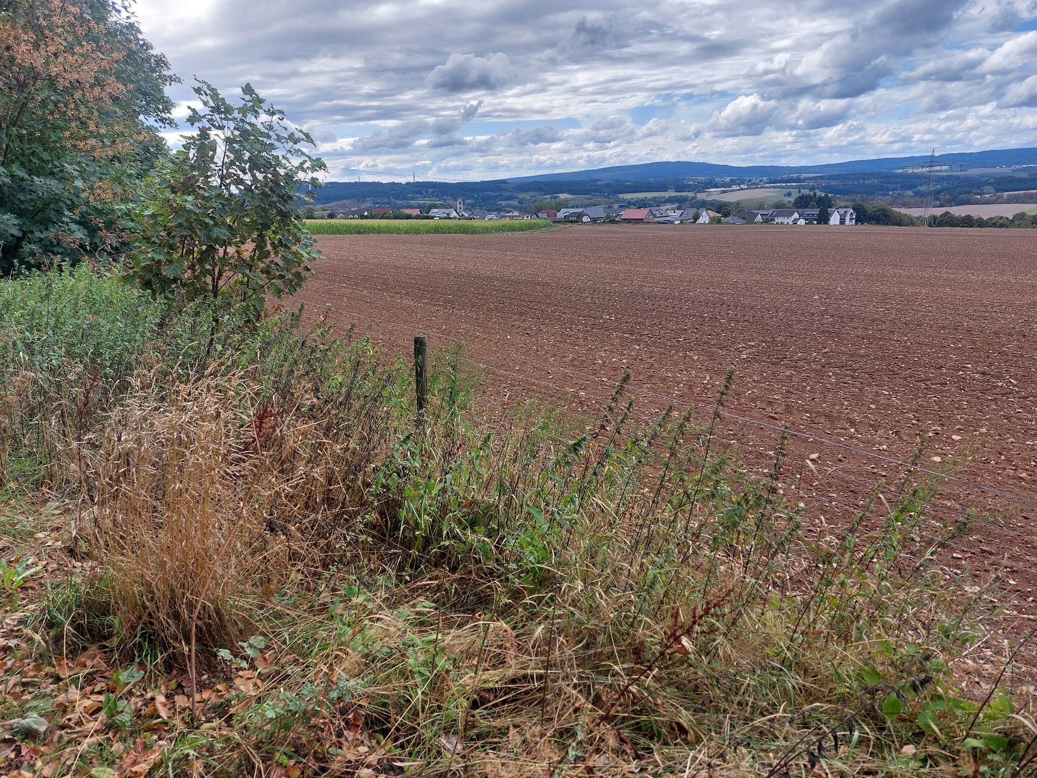 Blick auf Hermeskeil