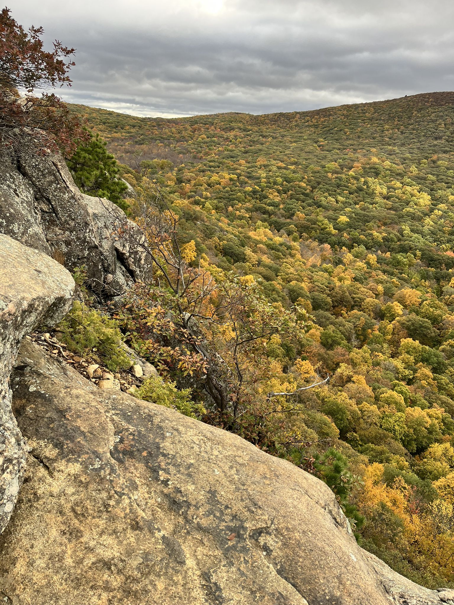 Rocky foreground with autumn trees, overlooking a vast forest of yellow and green. - View of Storm King Mountain – Bear Mountain Bridge loop from Peekskill