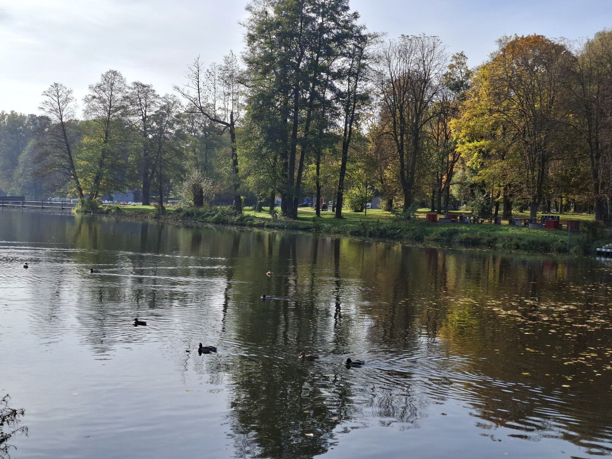 Stawy Stefańskiego w jesiennym słońcu
