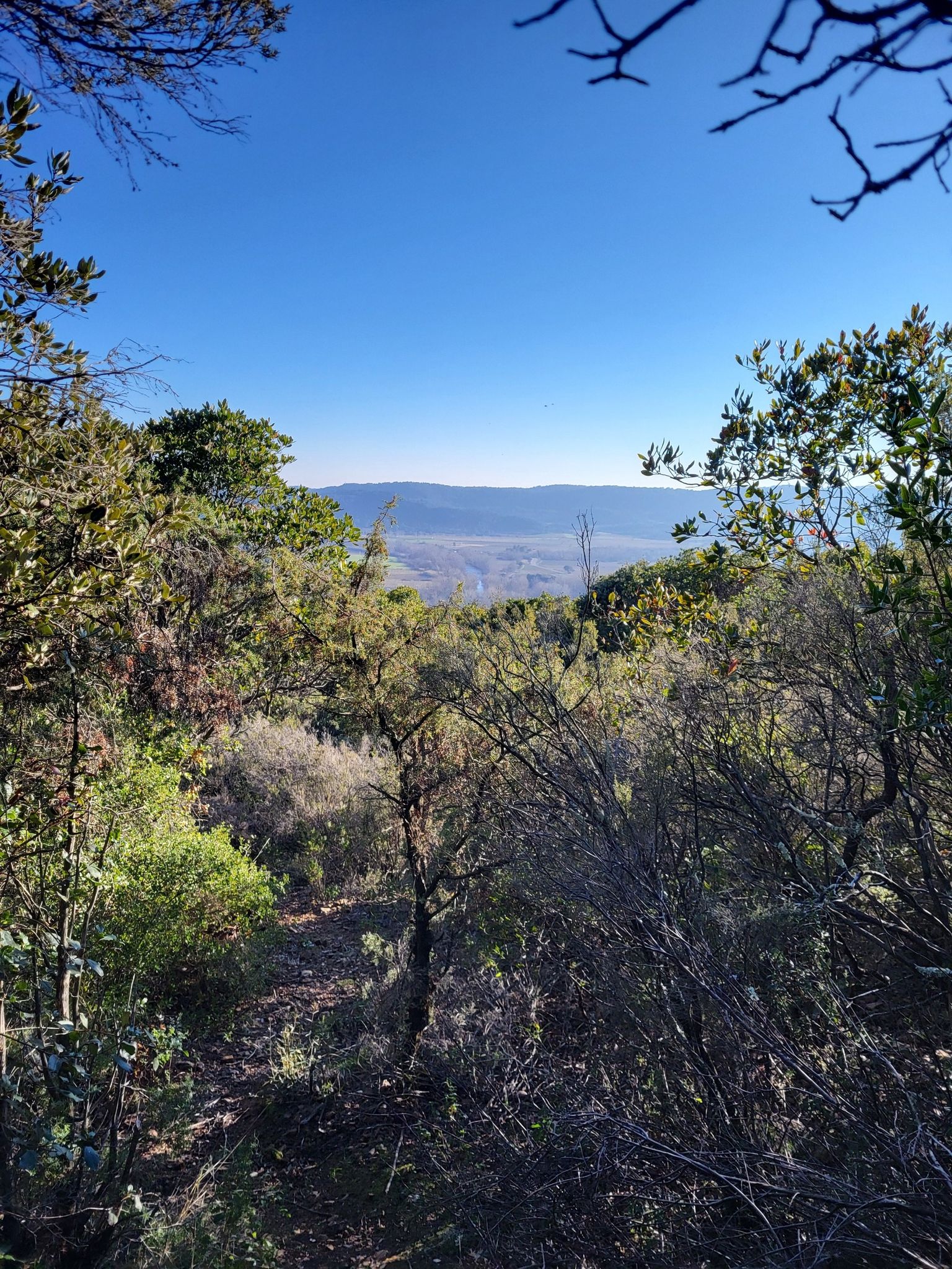 vue sur l'Orb