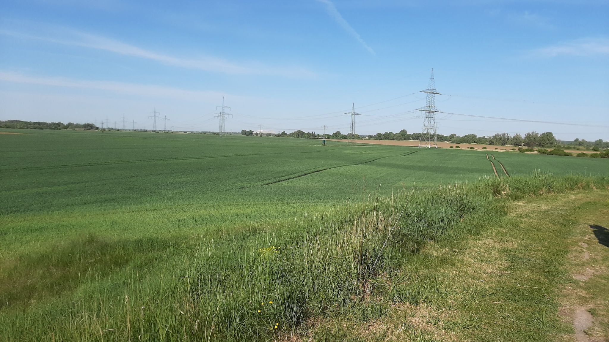 Blick zum Kalimandscharo