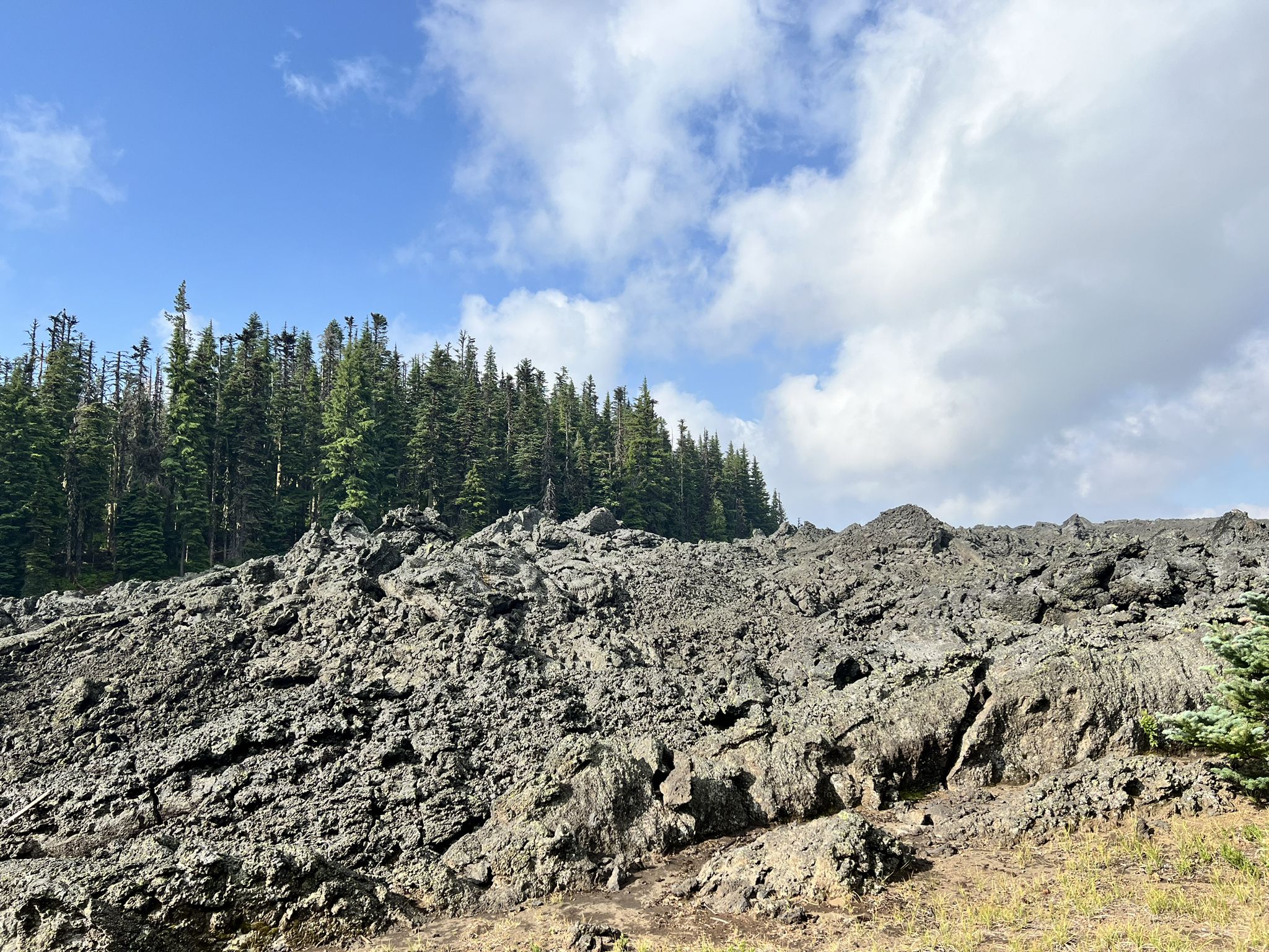A rugged lava field with a dense forest line under a cloudy sky. - Little Belknap Crater run