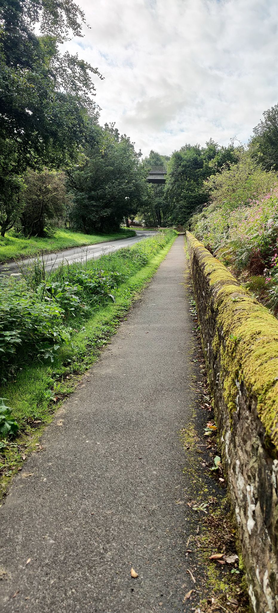 Along Tarn Road