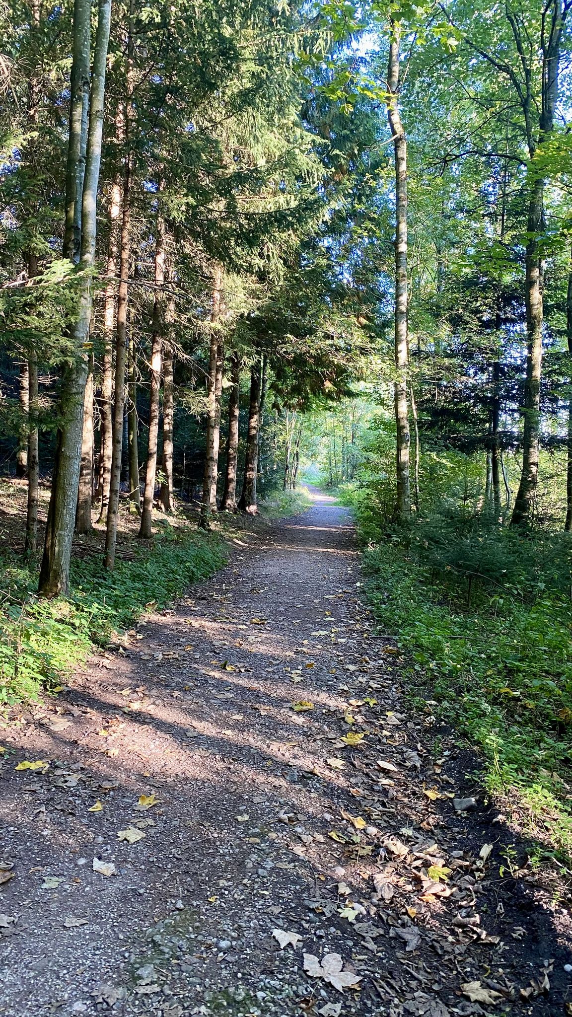 Weg parallel zur A8