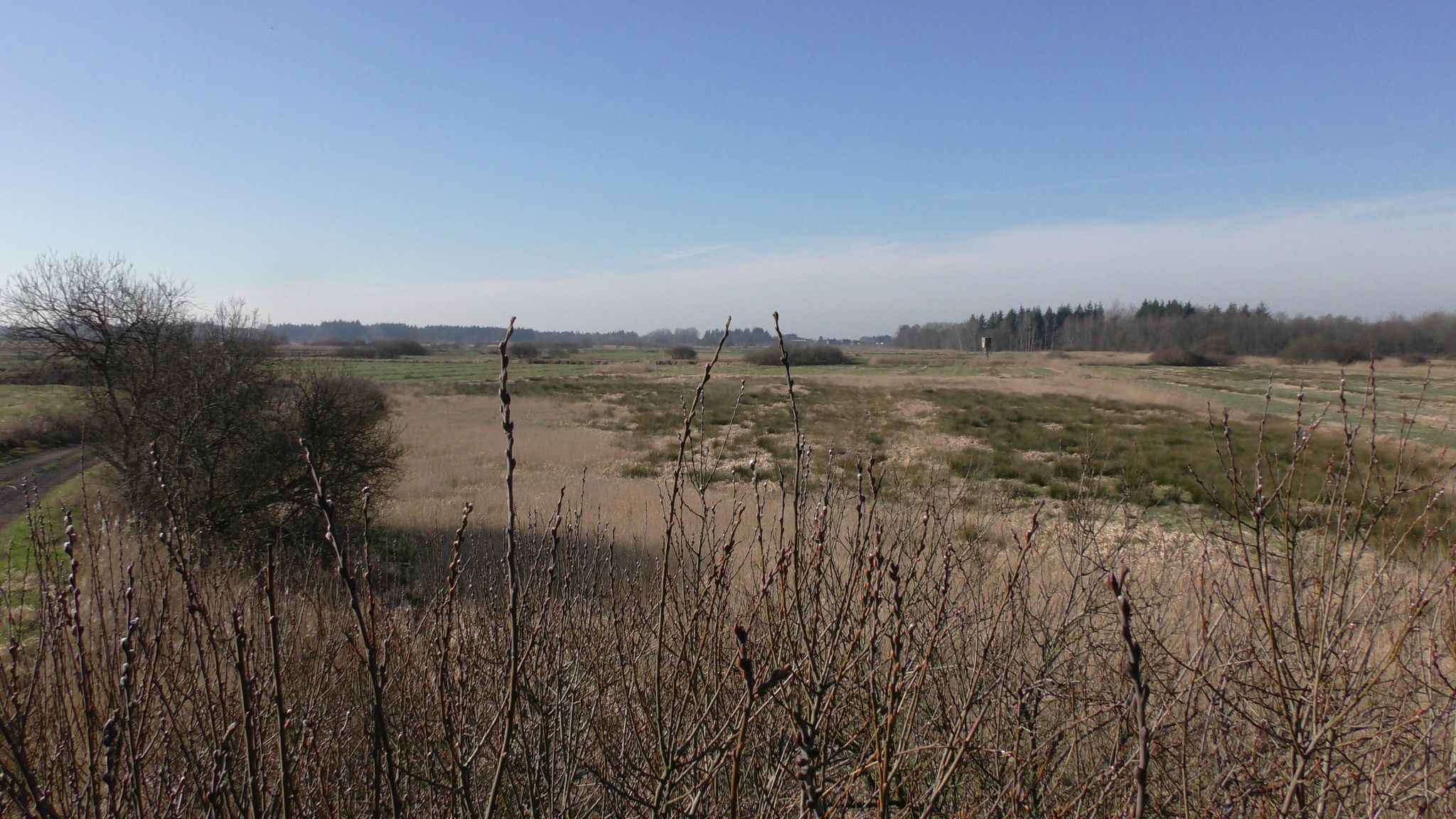 Auf dem Hochsitz