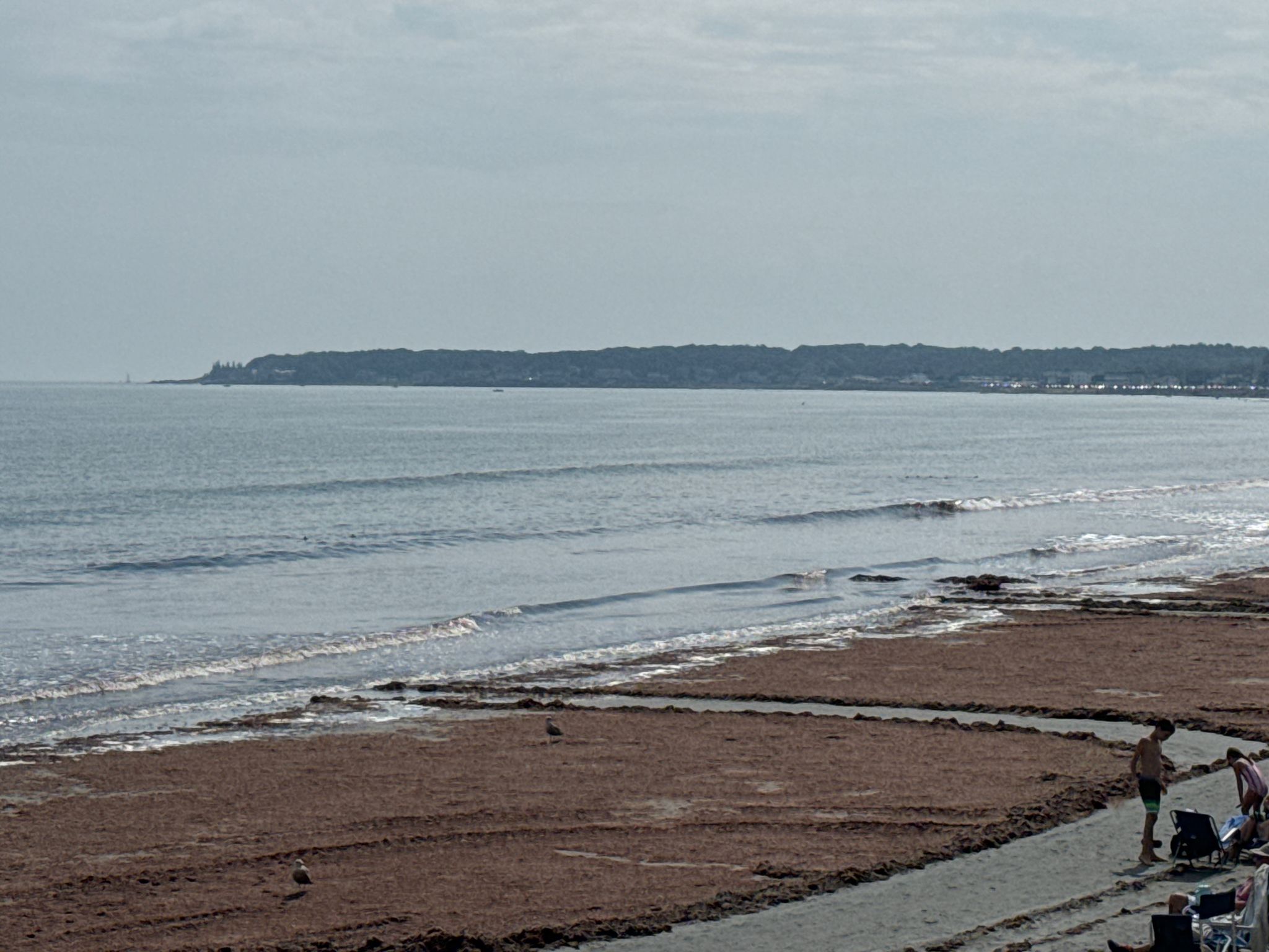Wide beach with brown seaweed, ocean waves, distant land, and people. - Long Sands Beach – Ellis Park Beach loop from York
