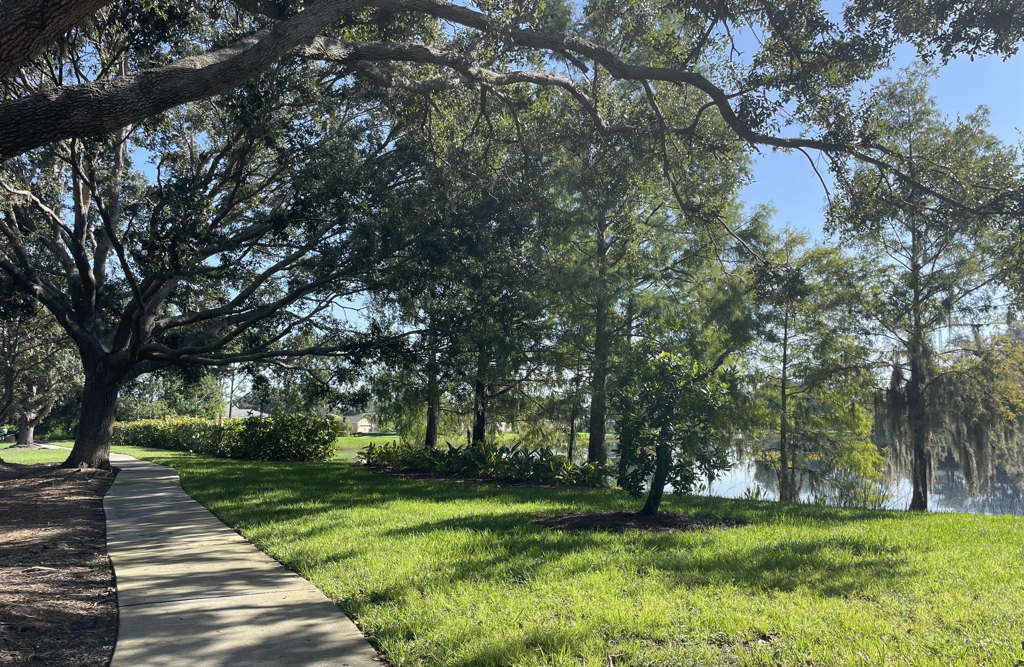 Paved path winding through a sunny, green park with large trees and water. - Benderson Family Finish Tower – Nathan Benderson Park Lake loop from SCAT