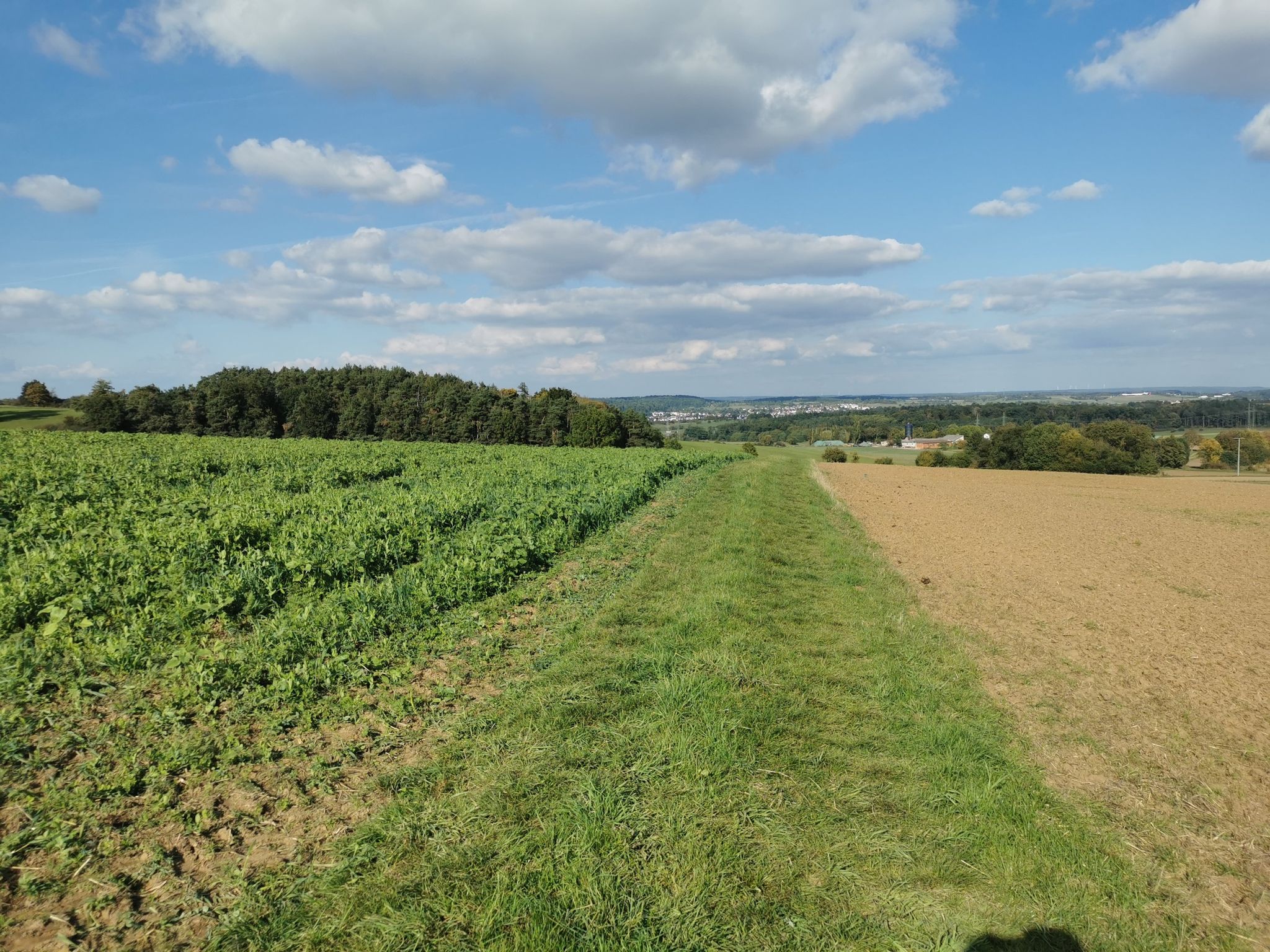 Weg durch die Felder
