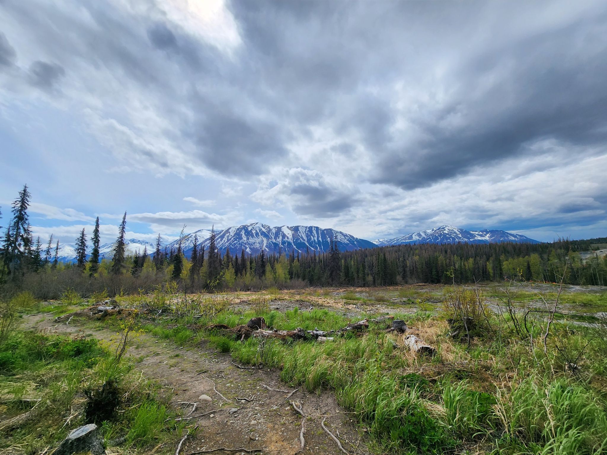 Snow-capped mountains under a cloudy sky, with a forest and grassy field. - Resurrection Pass Trail