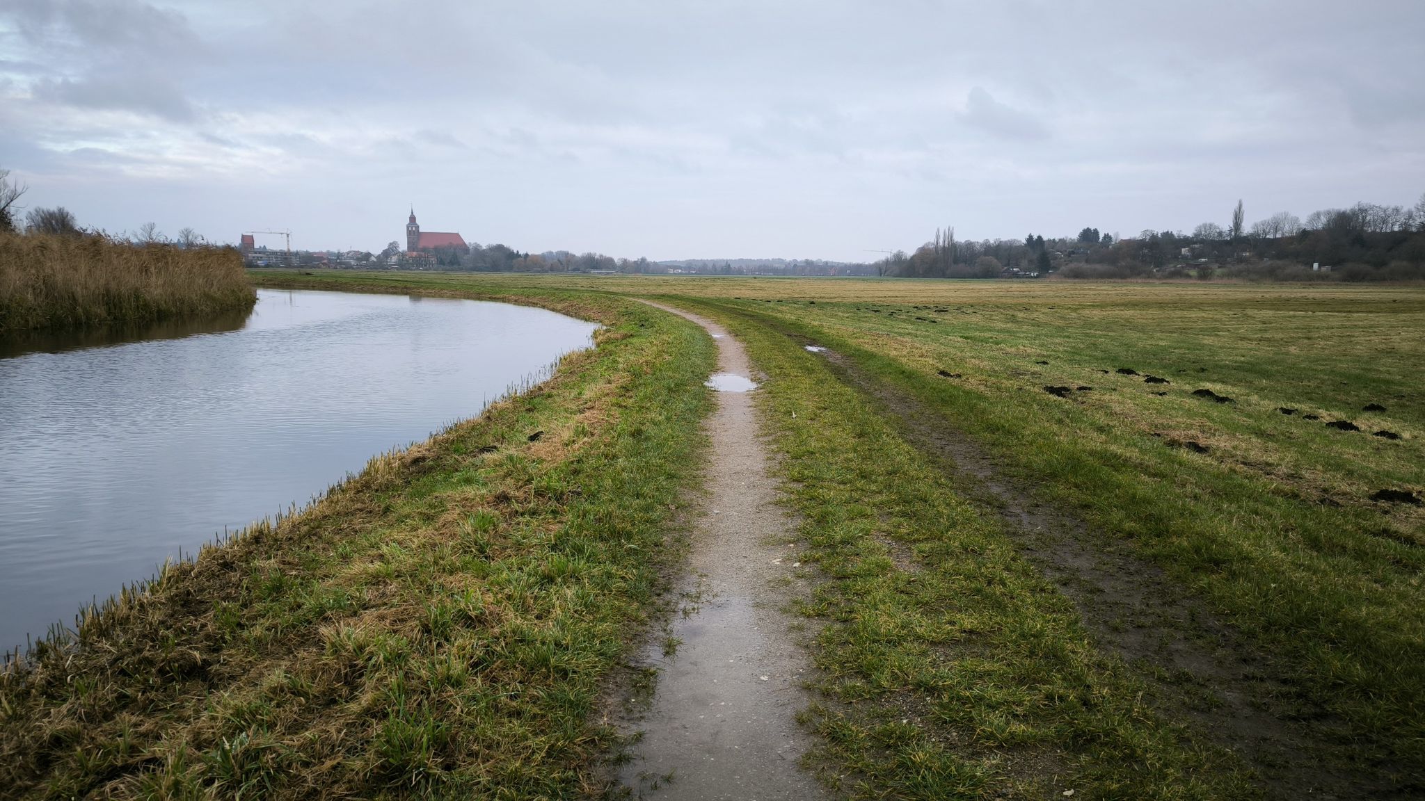 Weg am Tollensearm