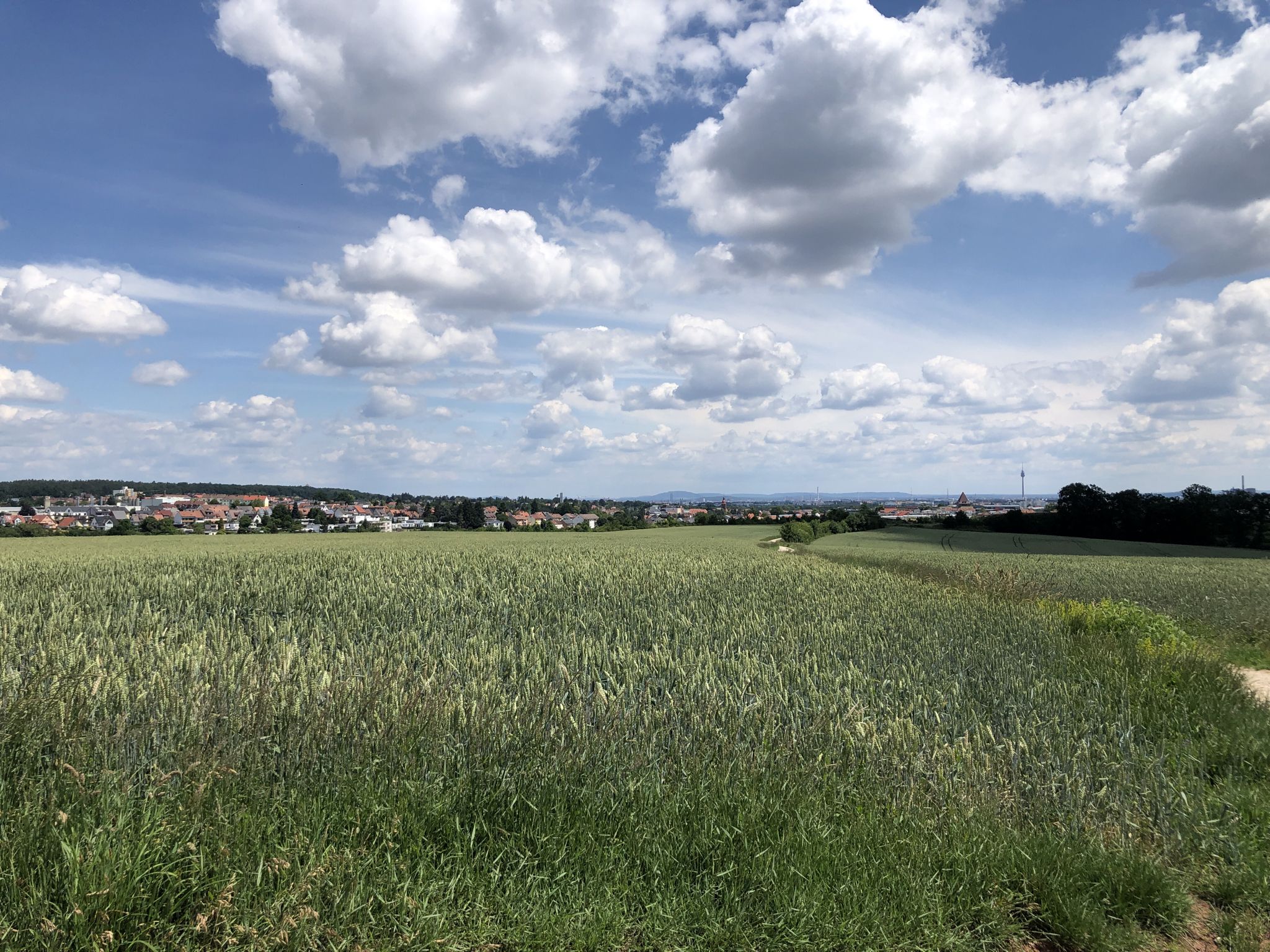 Schöner Blick 