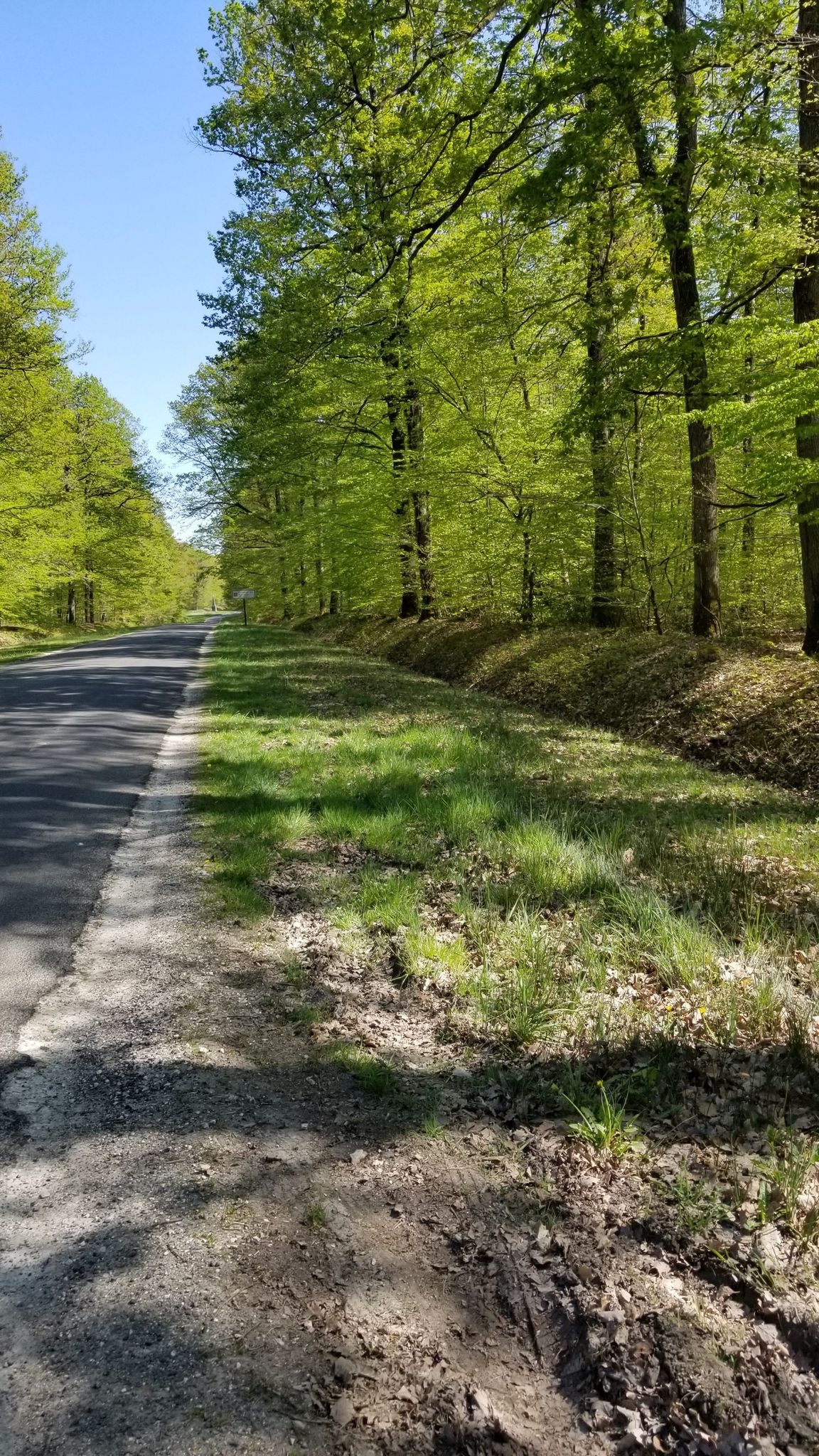 forêt de Loches