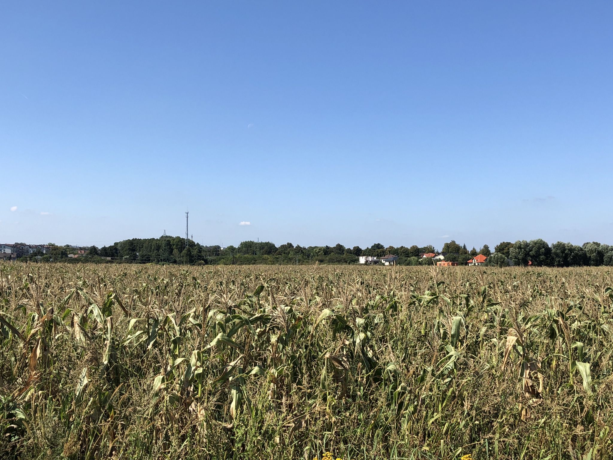 Blick über die Felder zurück nach Grójec