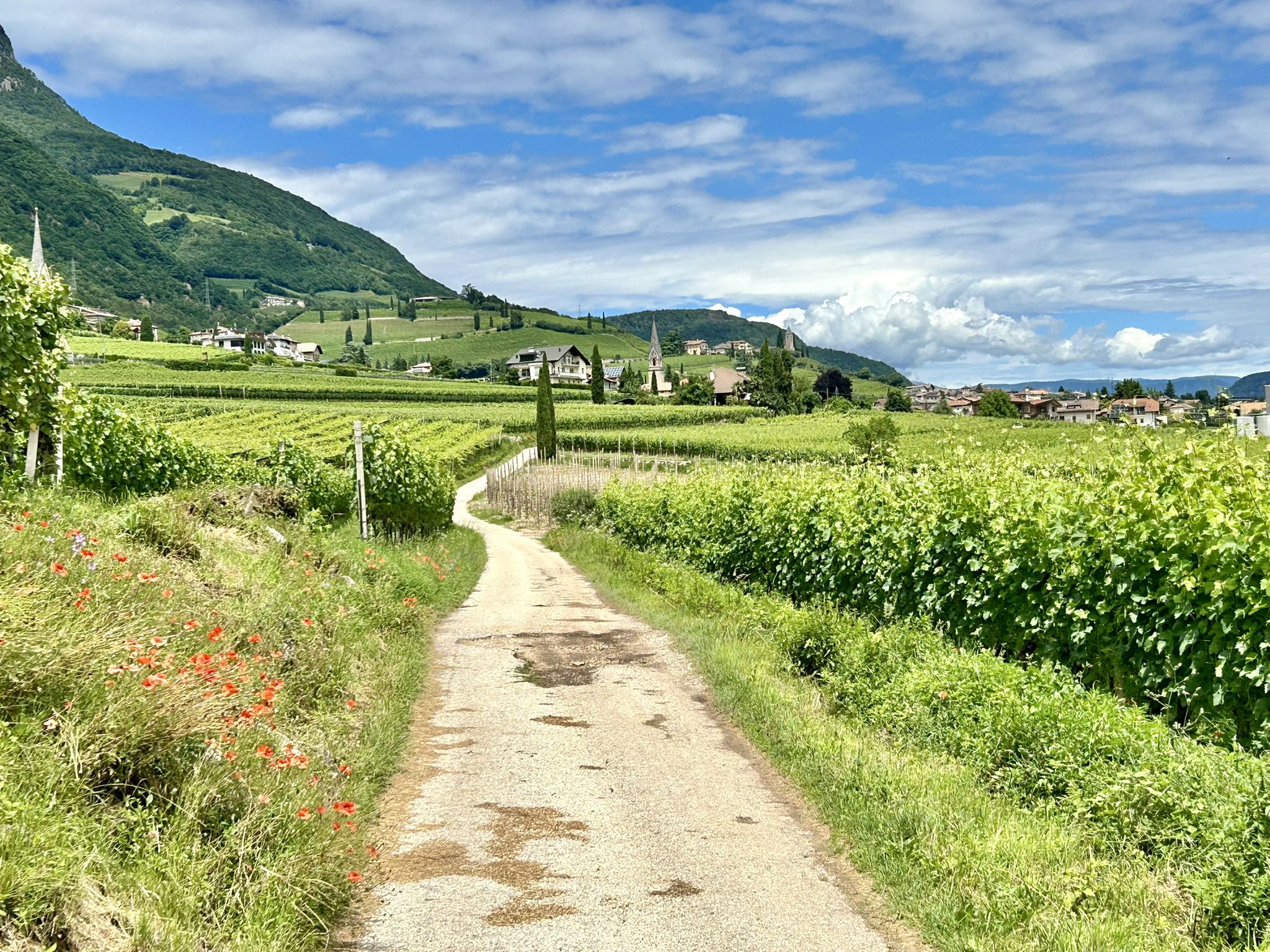 Durchs Brenntal hoch nach Tramin