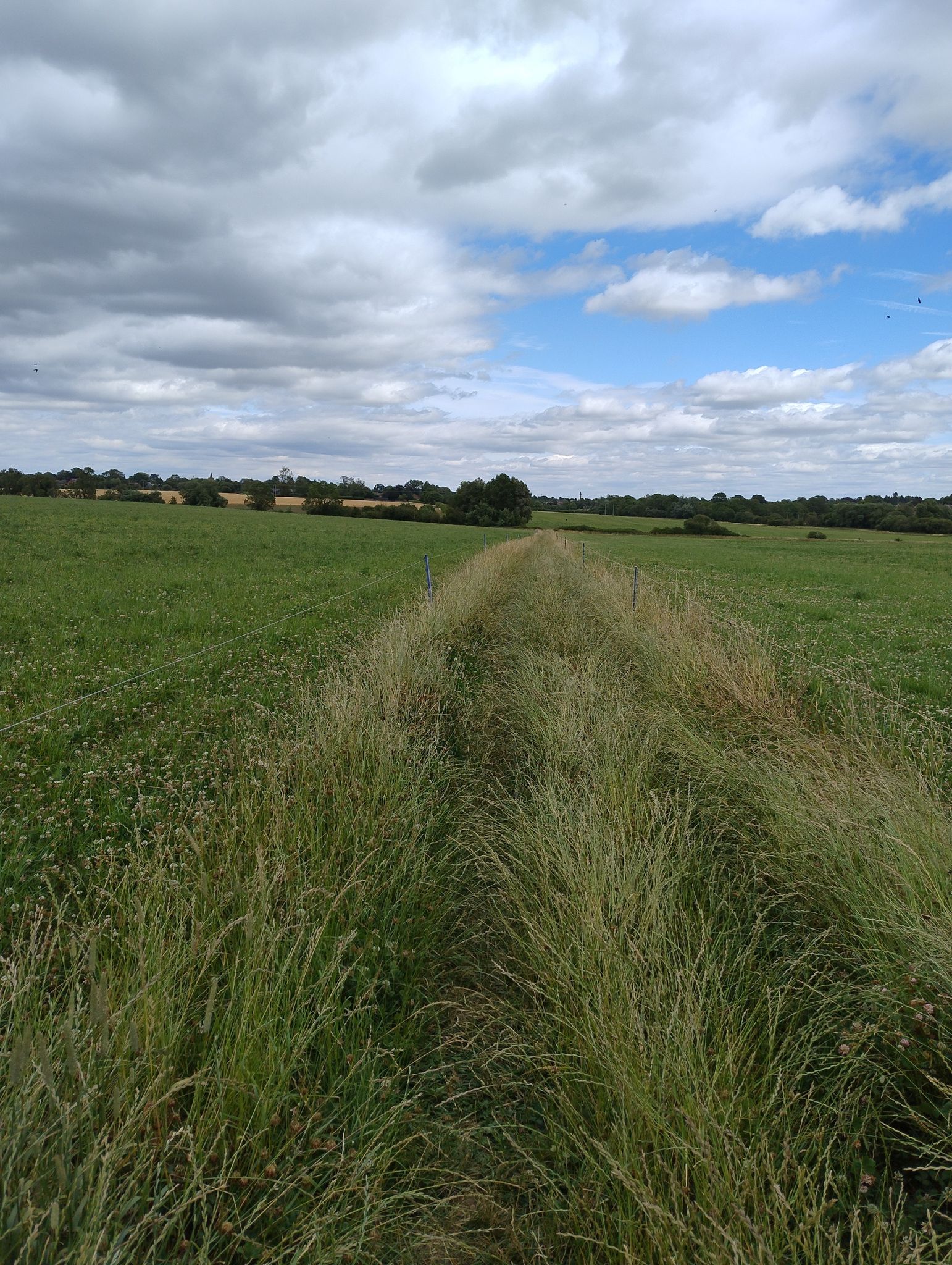footpath 