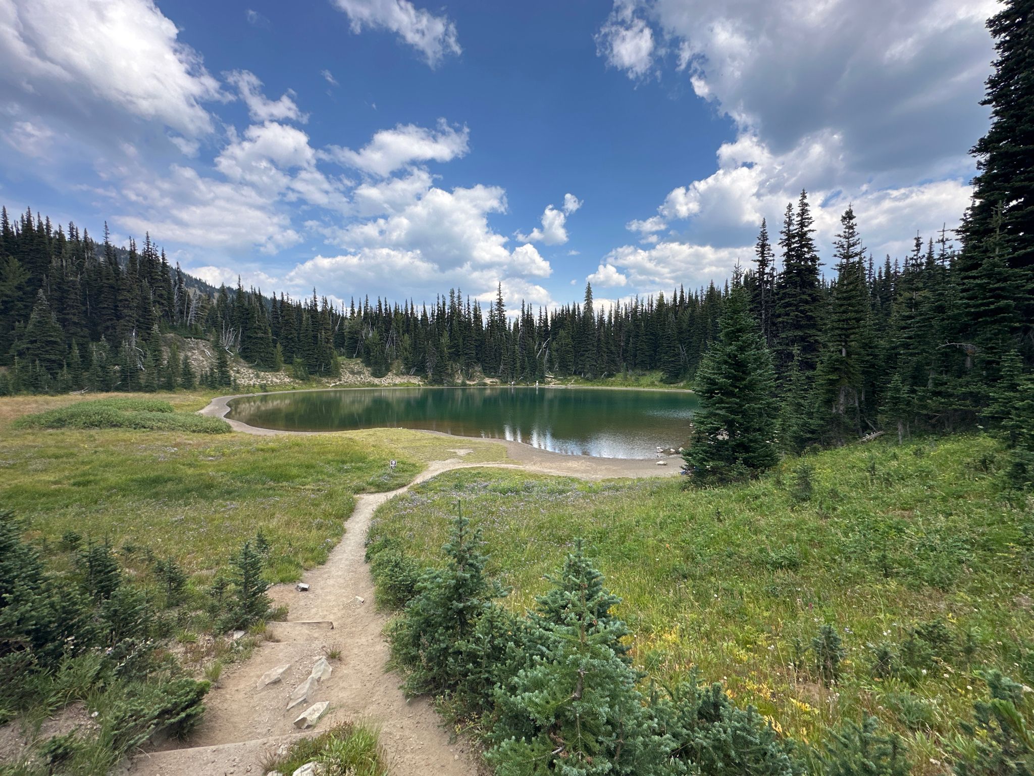 Dirt path leads to a calm lake surrounded by evergreen trees under a cloudy sky. - Burroughs Mountain Loop via Glacier Basin
