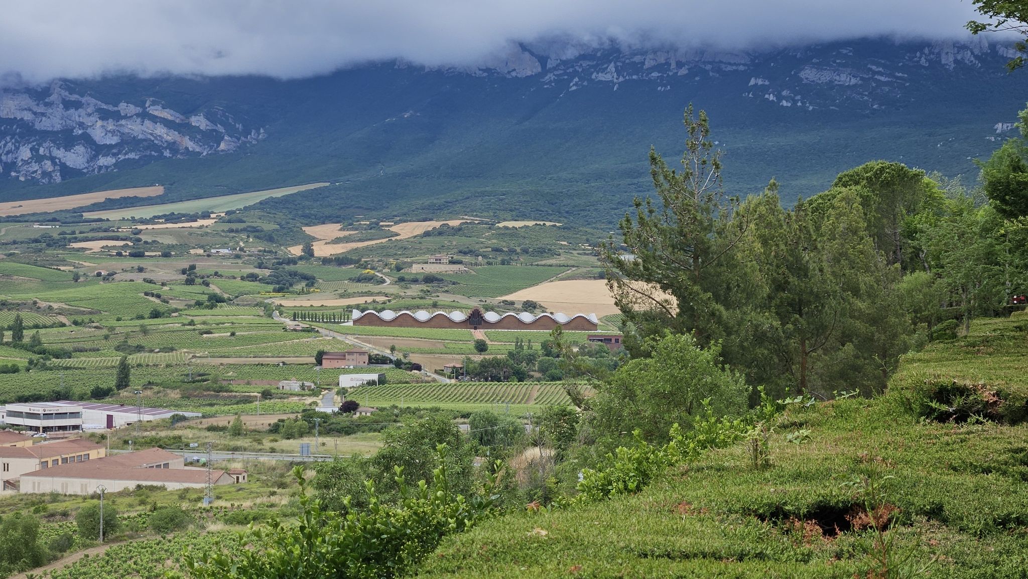 das markante Gebäude der Bodegas Ysios
