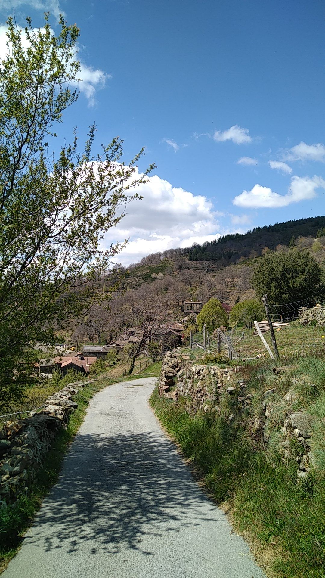 Bonneveaux