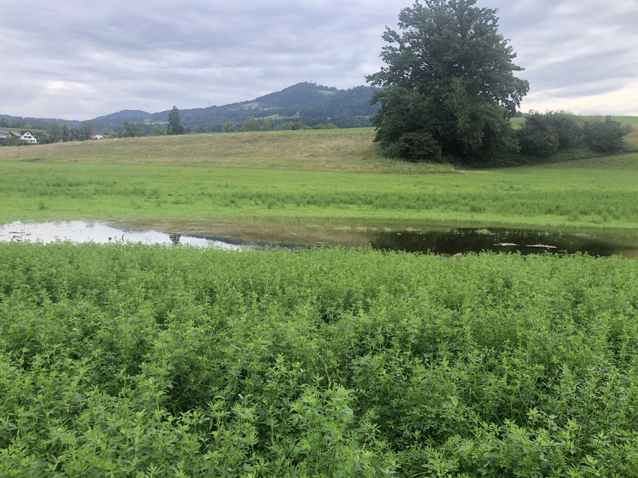 überall noch viel Wasser