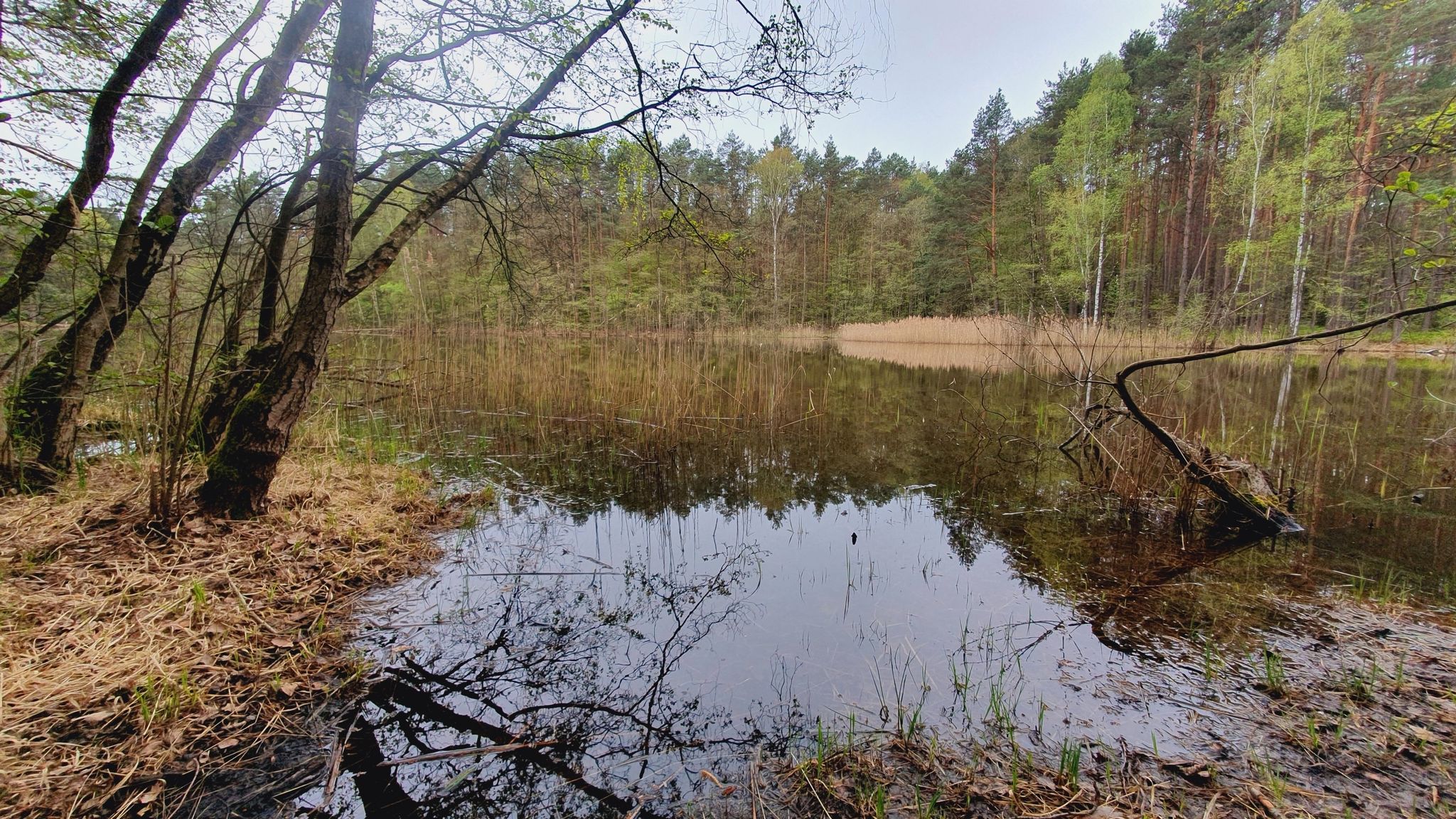 Mönchsweiher
