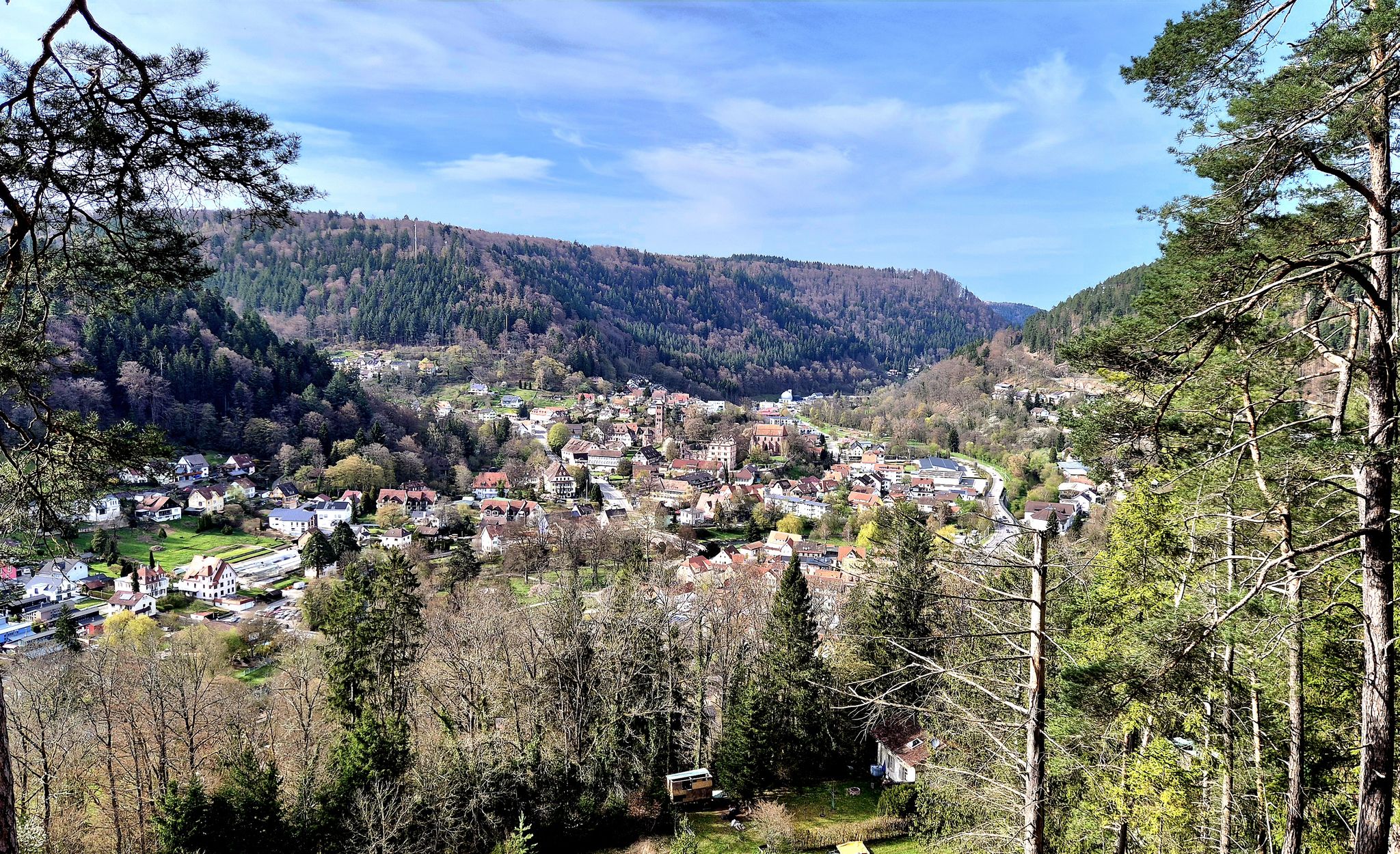Blick von der Welzberghütte nach Hirsau-Nagoldtal