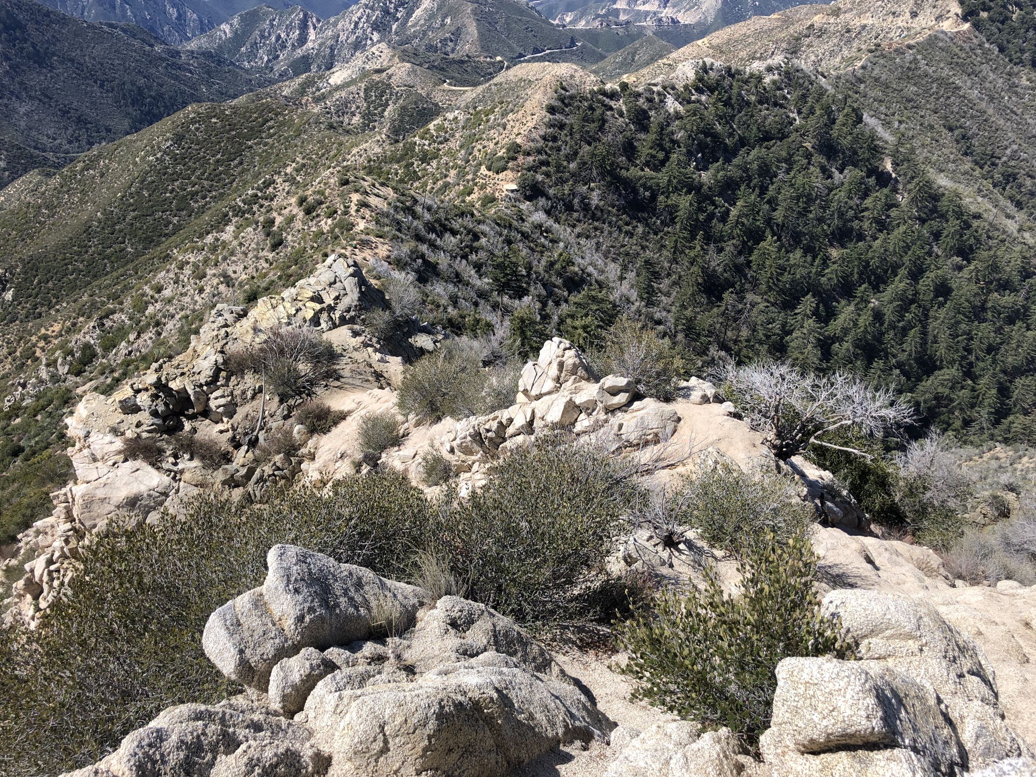 Sunny view of a rocky, scrub-covered mountain ridge with a winding path. - Strawberry Peak via Mountaineers Route - Angeles National Forest