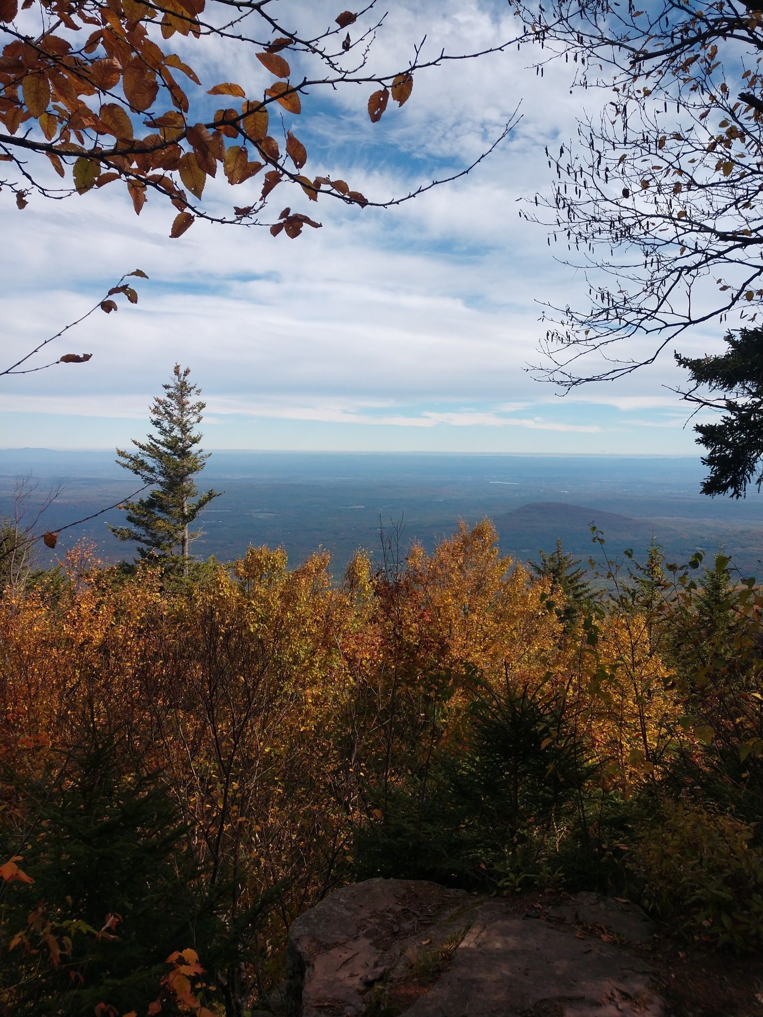 Autumn mountain vista with colorful trees under a bright, cloudy sky. - Windham High Peak and Blackhead via Escarpment Trail