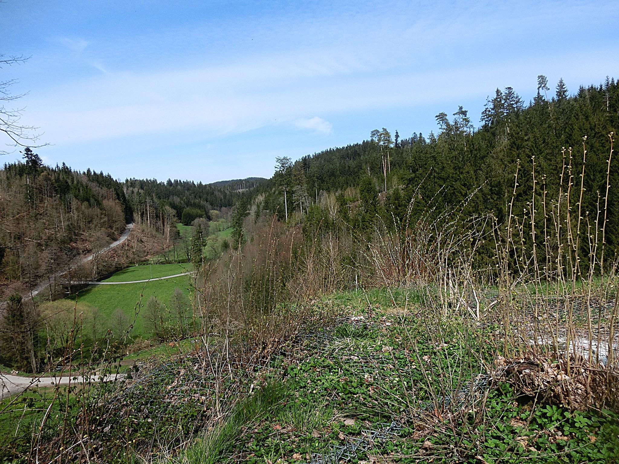 Blick ins Ölschnitztal von der Burgkapelle Stein