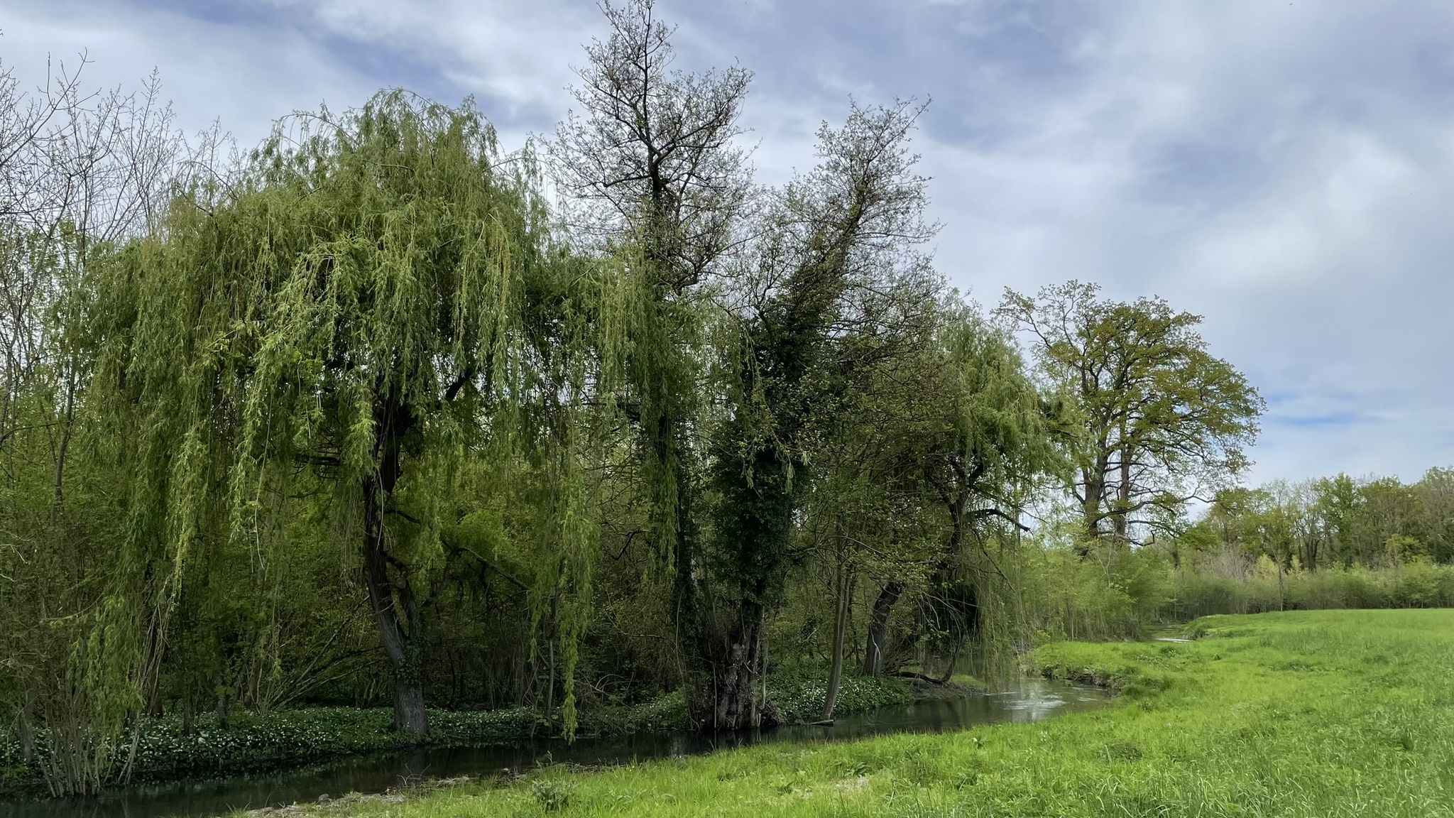 L'Ischert