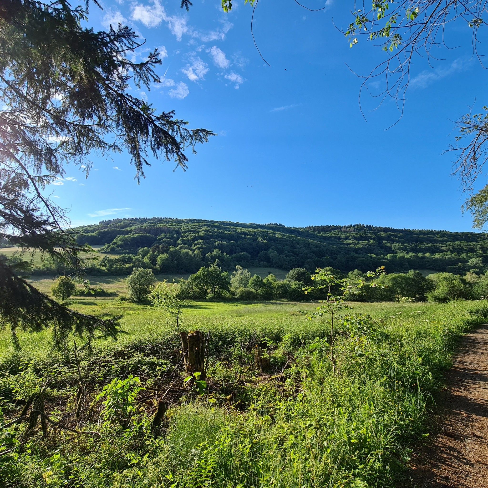 Bergenlandschaft