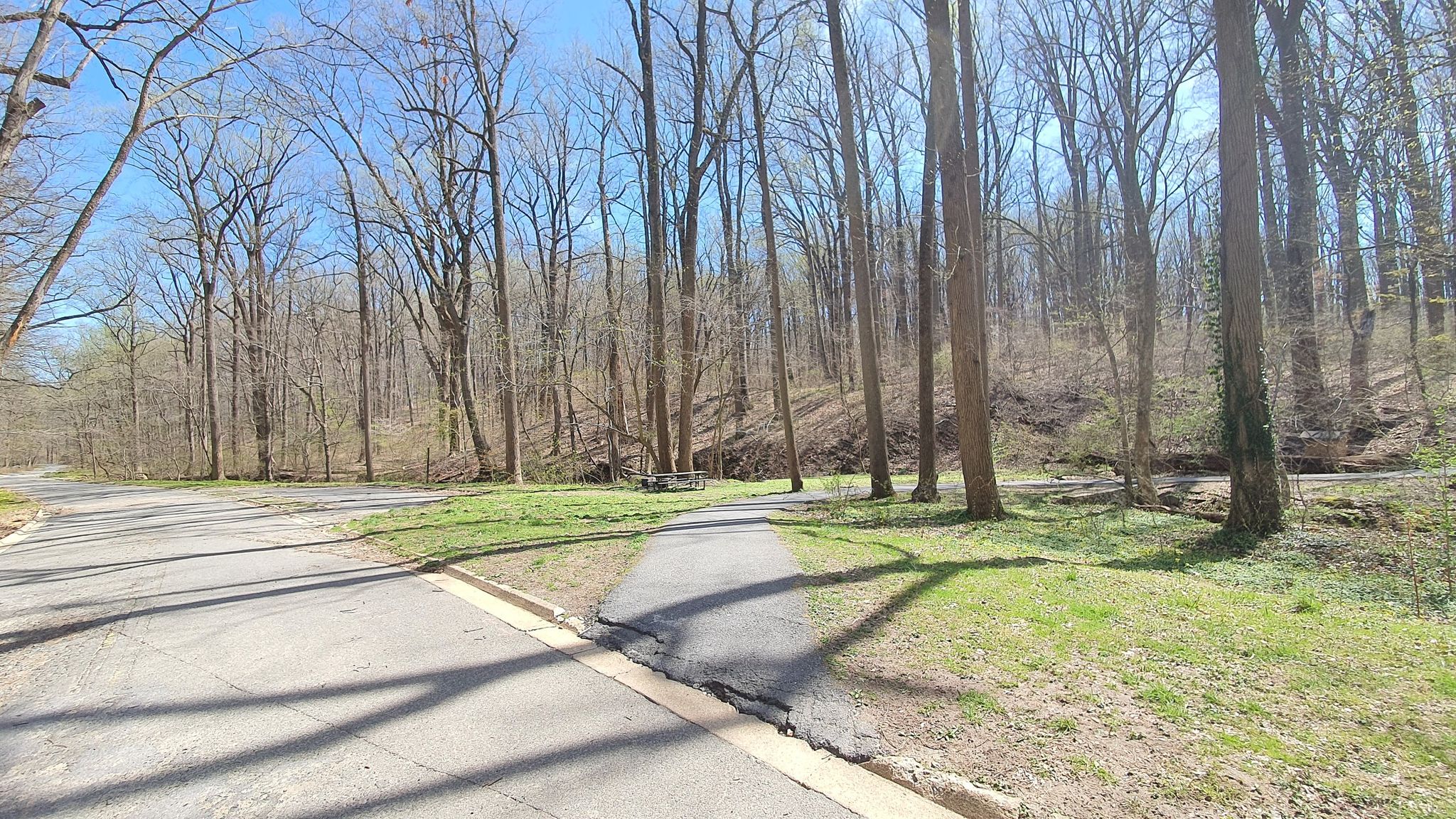 A paved path and road wind through a bare winter forest on a sunny day. - Rock Creek Park – Klingle Road Wooden Bridge loop from Rock Creek Park