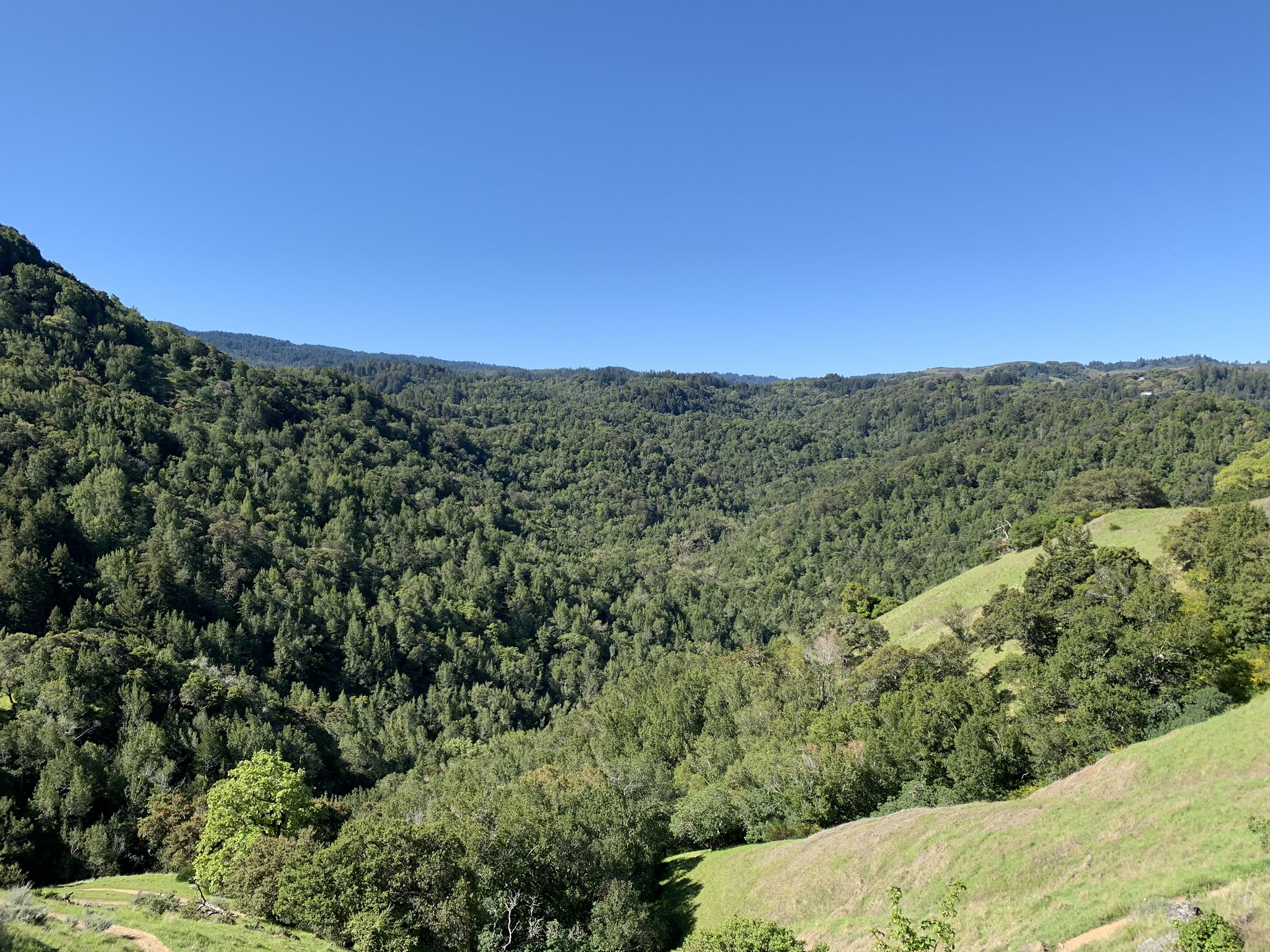 Lush green forested hills and valleys under a clear blue sky. - Deer Park Loop
