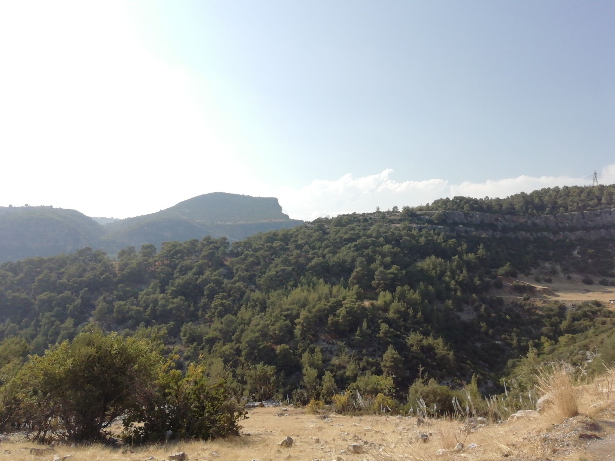 manzara