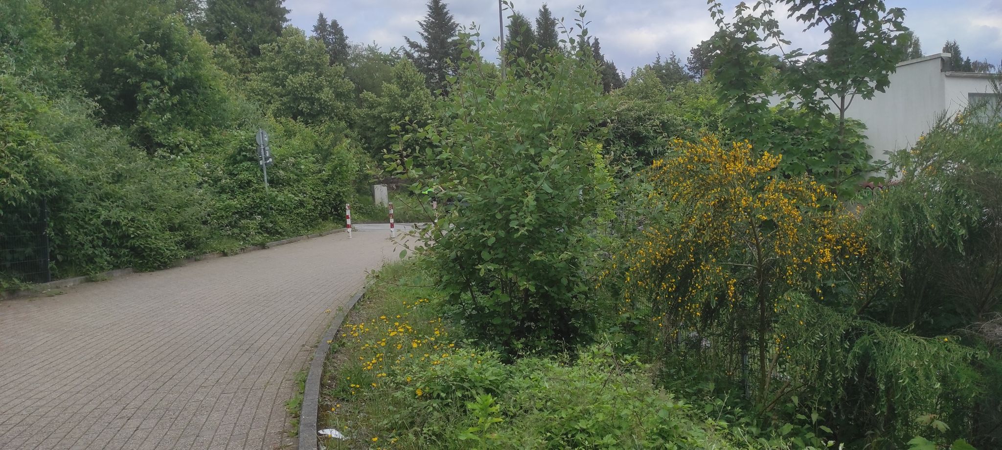 Zugang Nordbahntrasse am Briller Kreuz