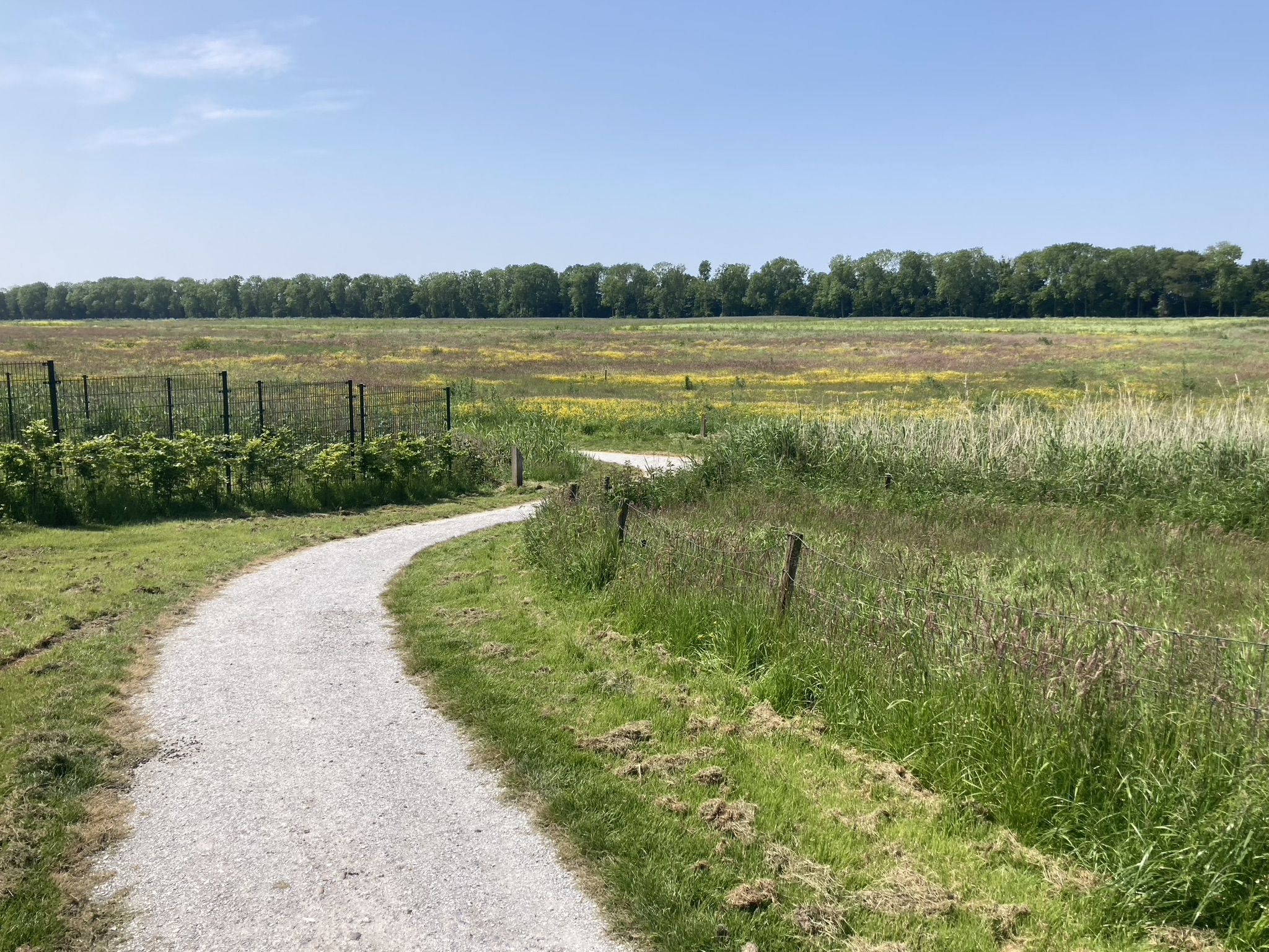 Schokland: a former island which is now part of the Noordoostpolder. The perimeter of the island is marked by a line of trees.