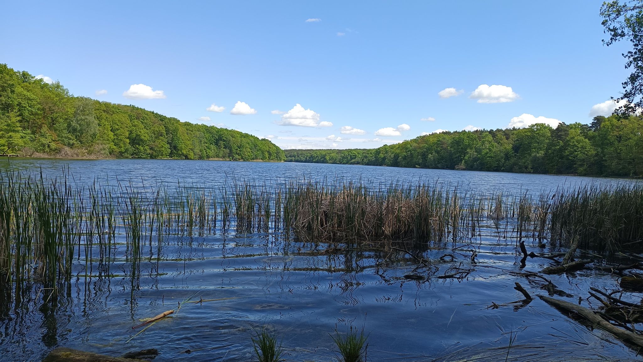 Trebuser See