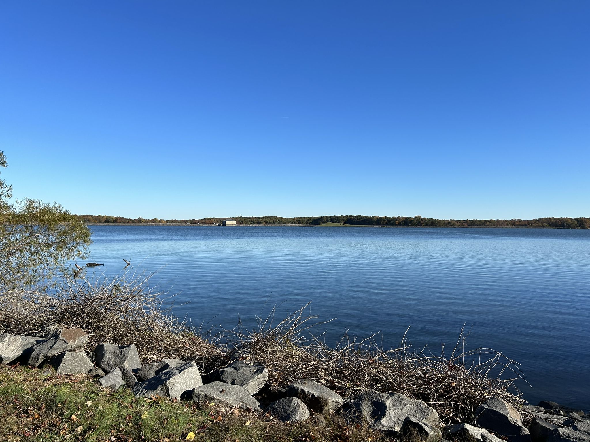 Expansive calm water under a clear blue sky with a distant treeline. - Manasquan Reservoir loop trail run